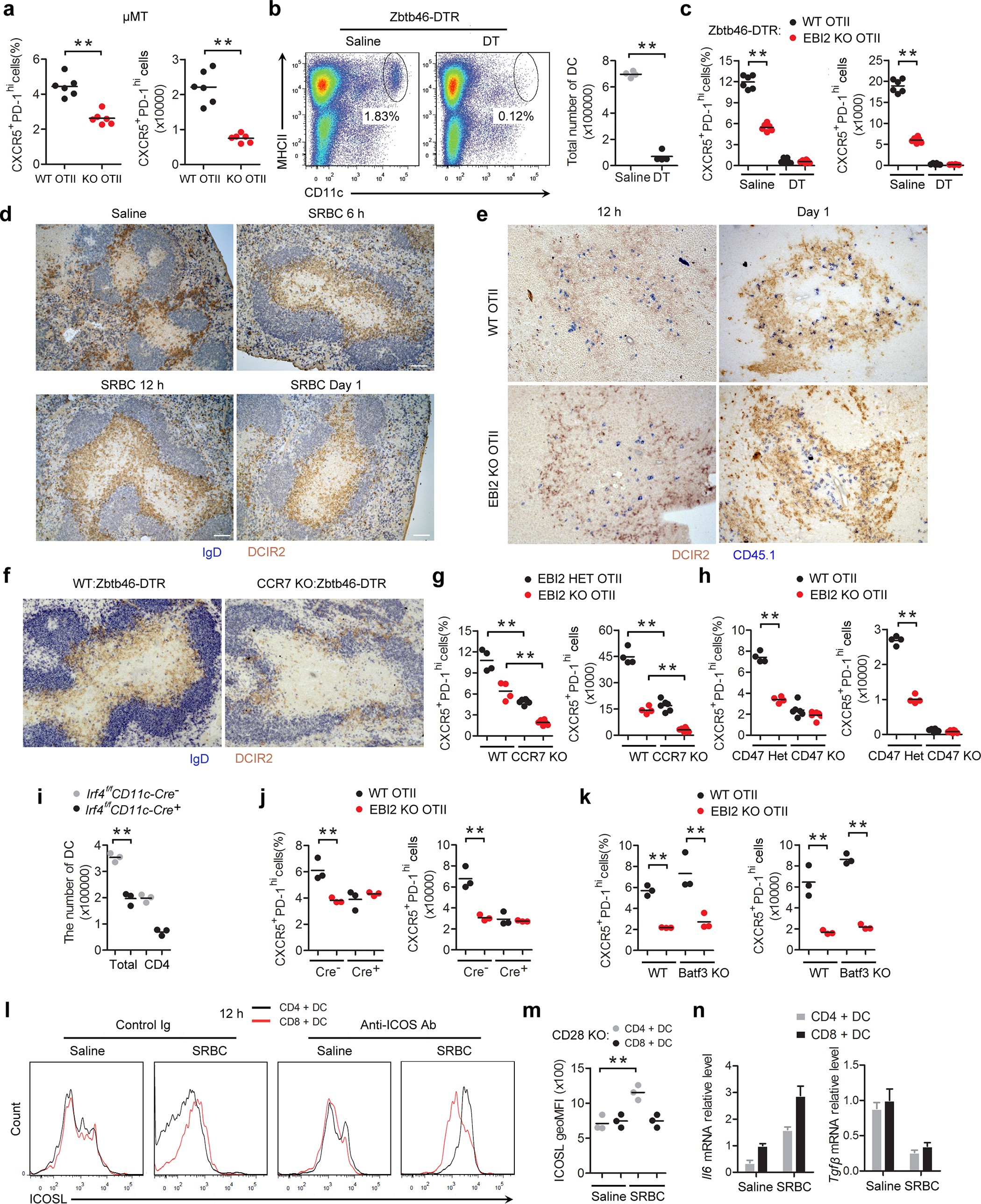 Extended Data Figure 4