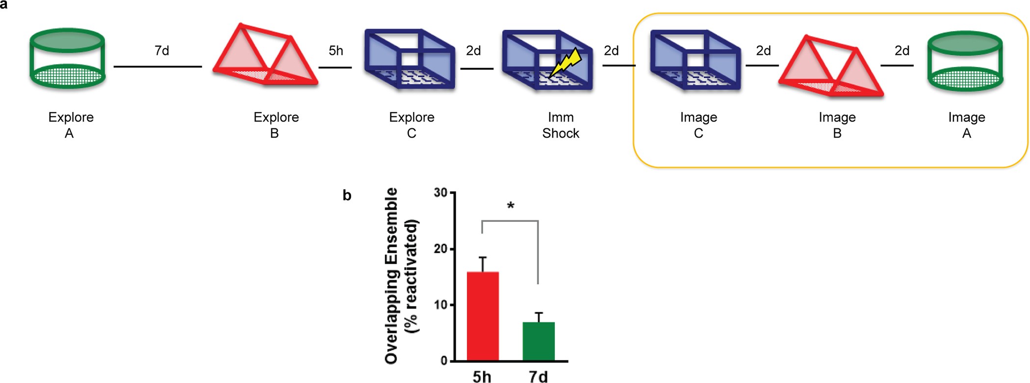 Extended Data Figure 5