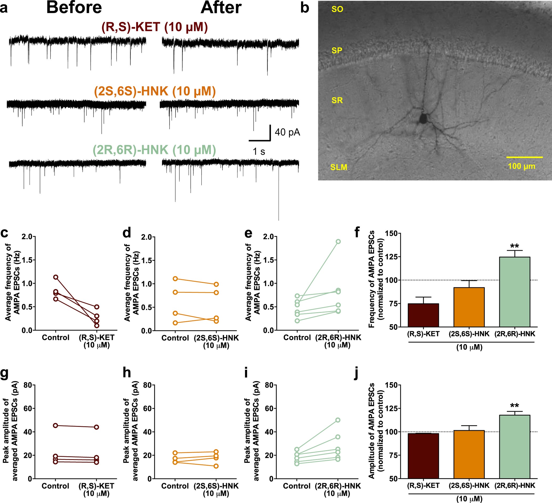 Extended Data Figure 6