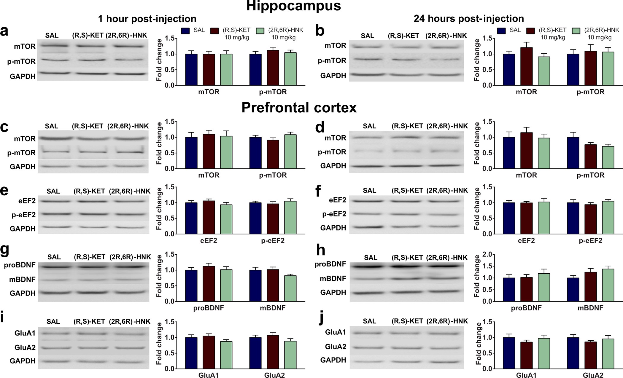 Extended Data Figure 8