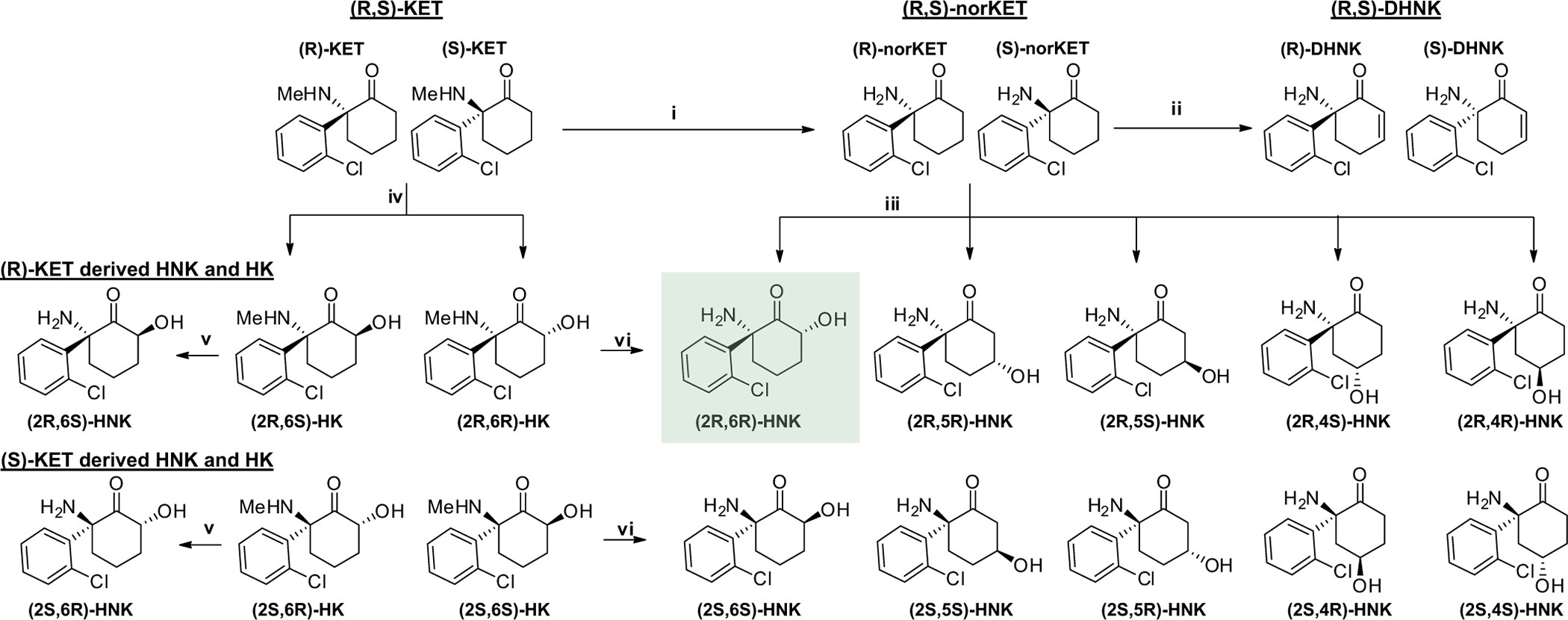 Extended Data Figure 1