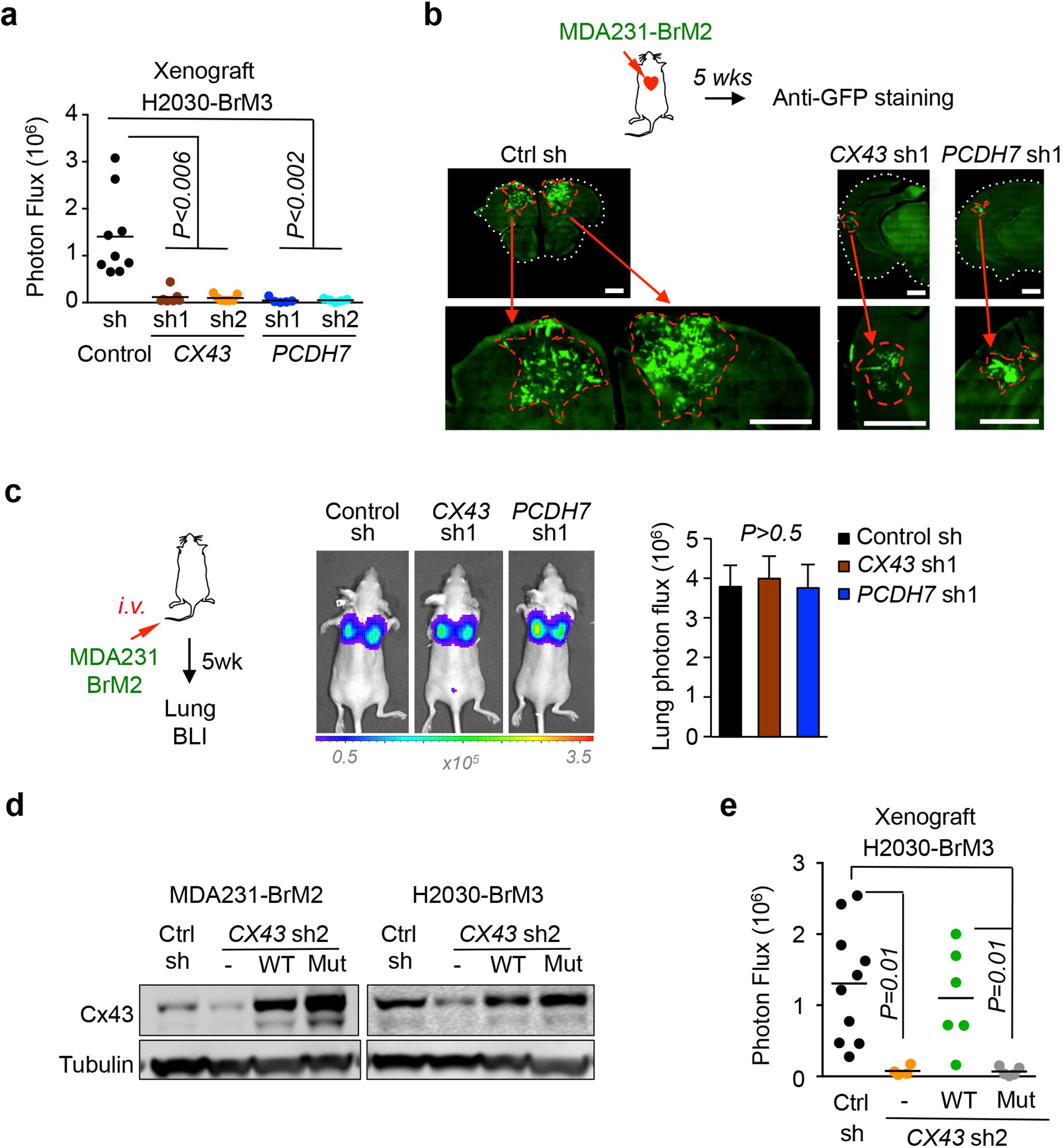 Extended Data Figure 5