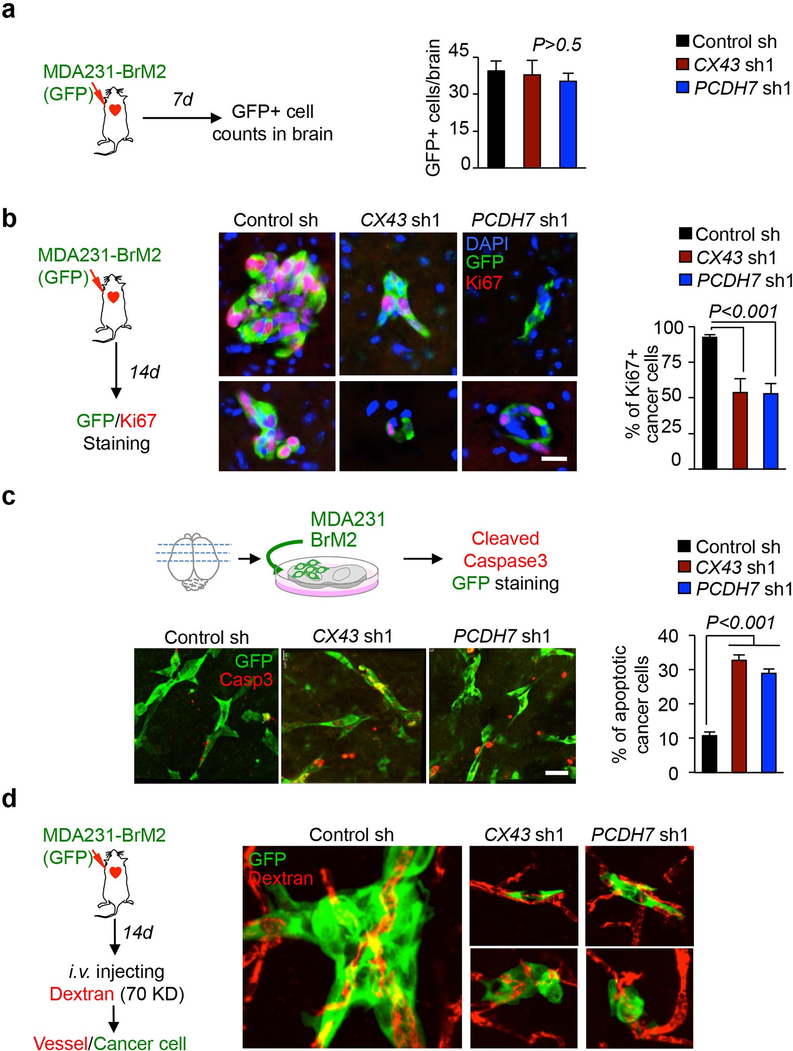 Extended Data Figure 6
