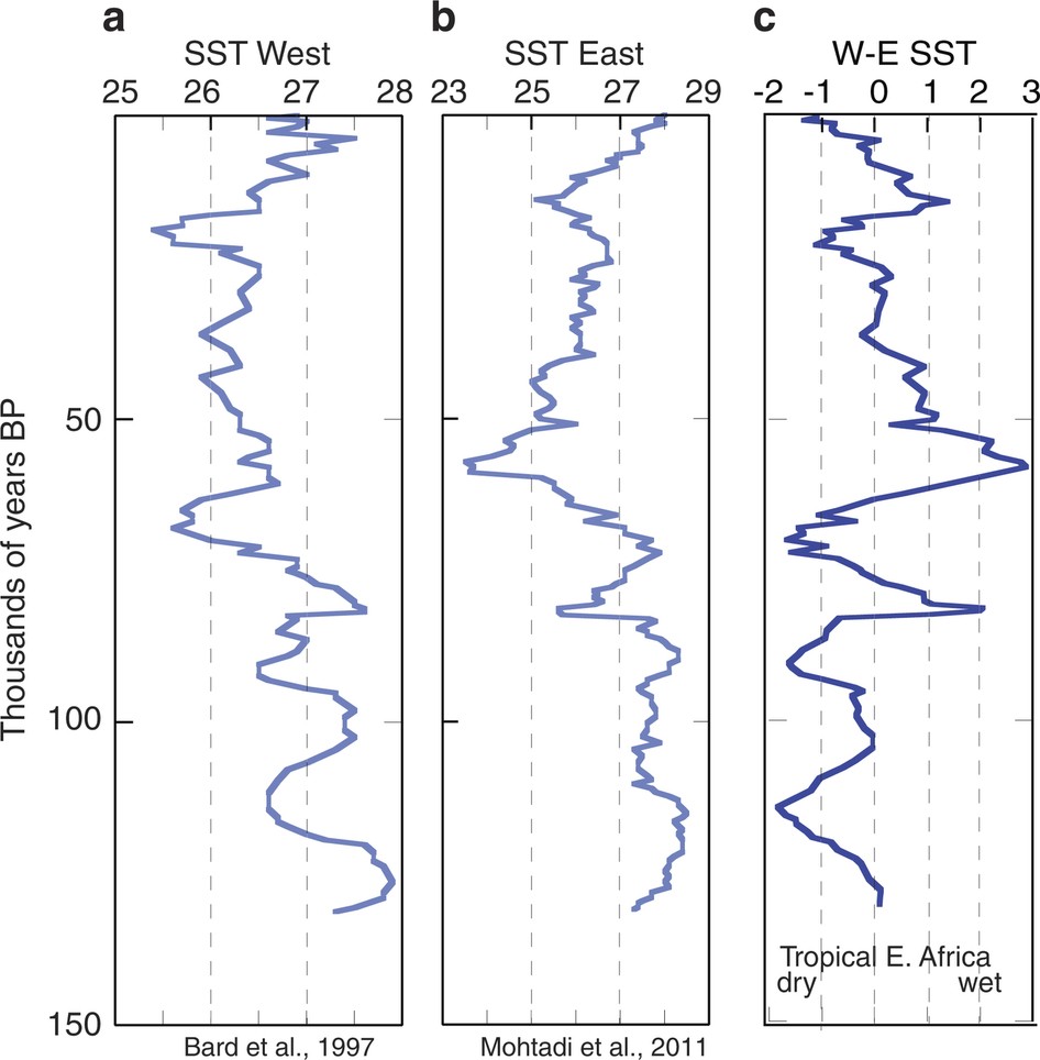 Extended Data Figure 7