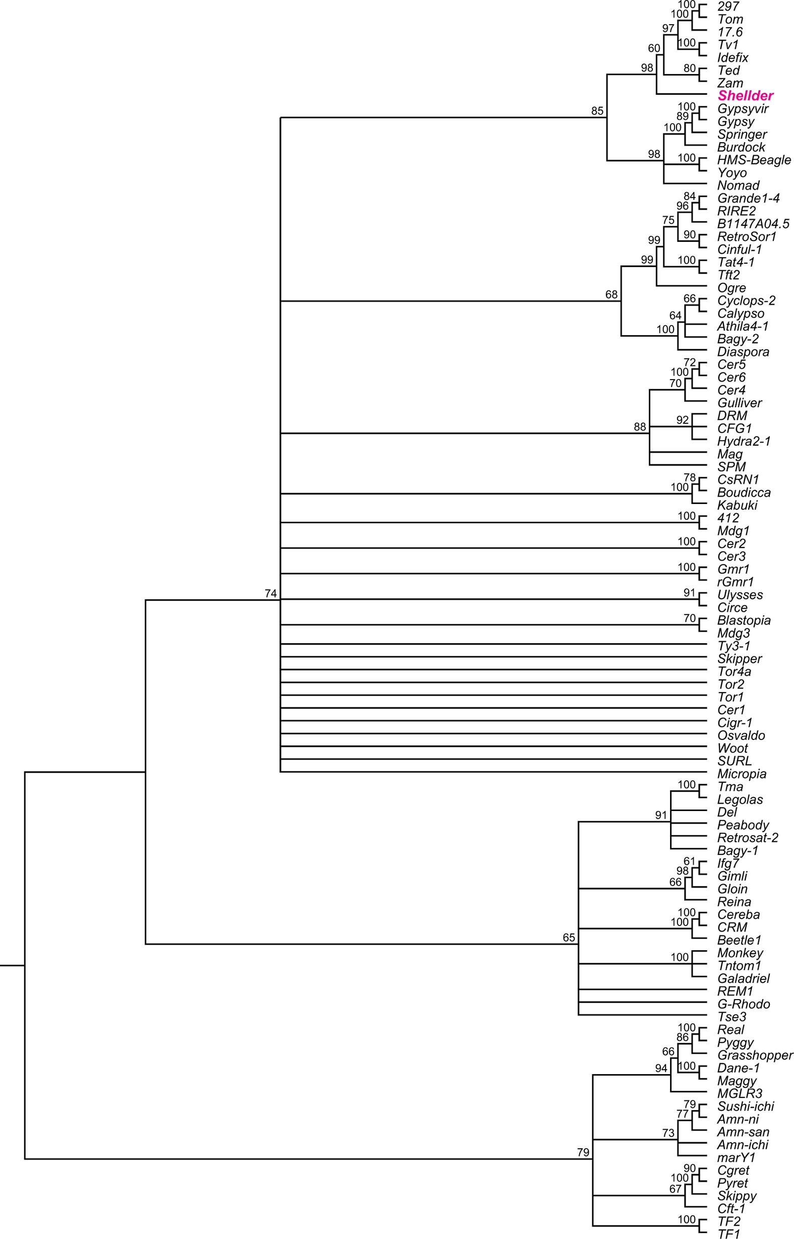 Extended Data Figure 10