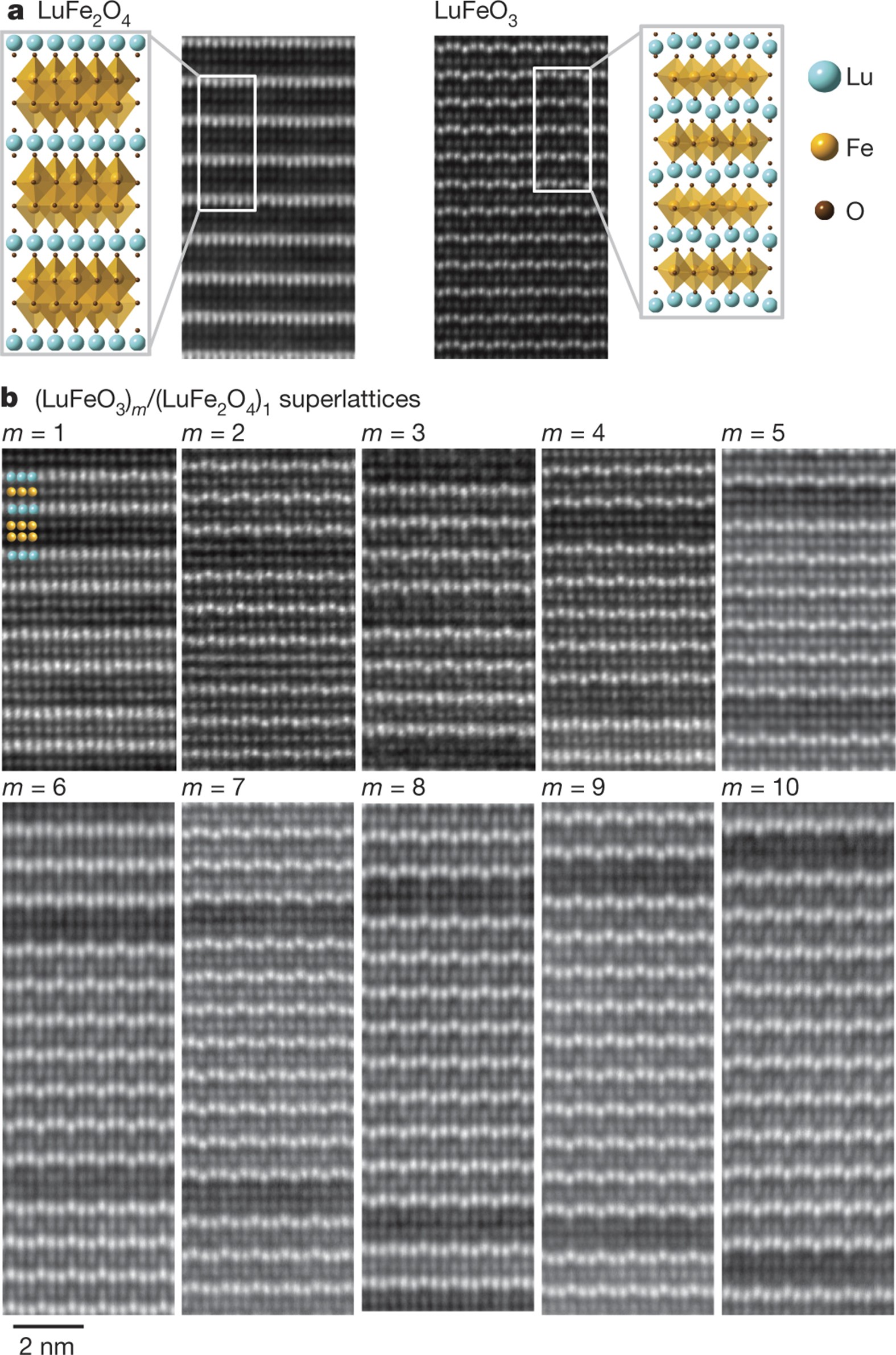 Figure 1: HAADF-STEM images.