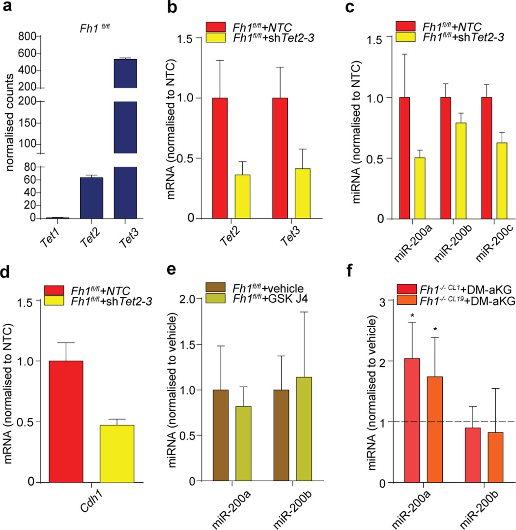Extended Data Figure 6: Role of Tets and histone demethylases in EMT induction.