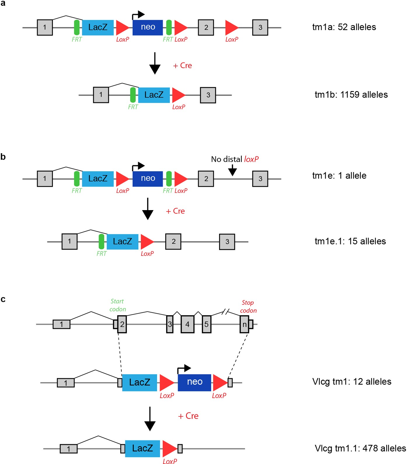 Extended Data Figure 1