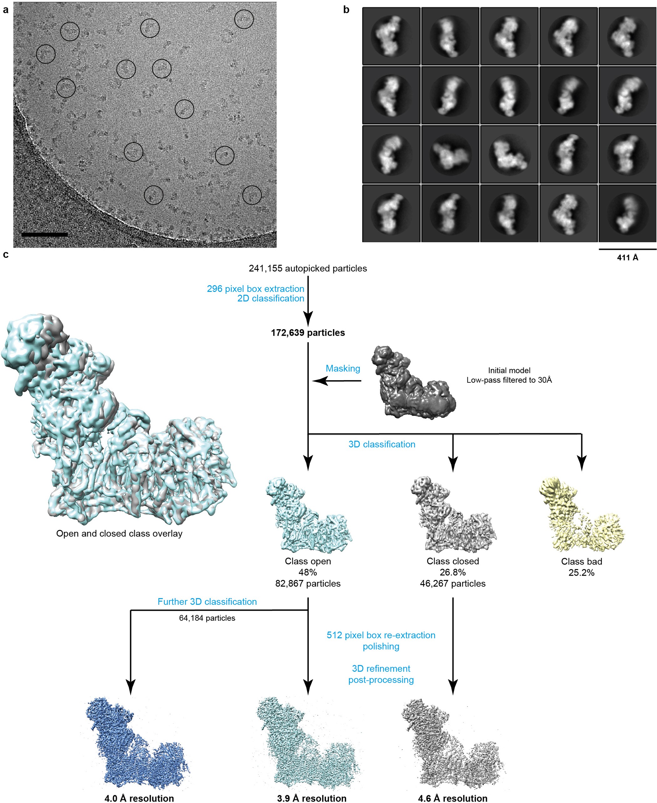 Extended Data Figure 1