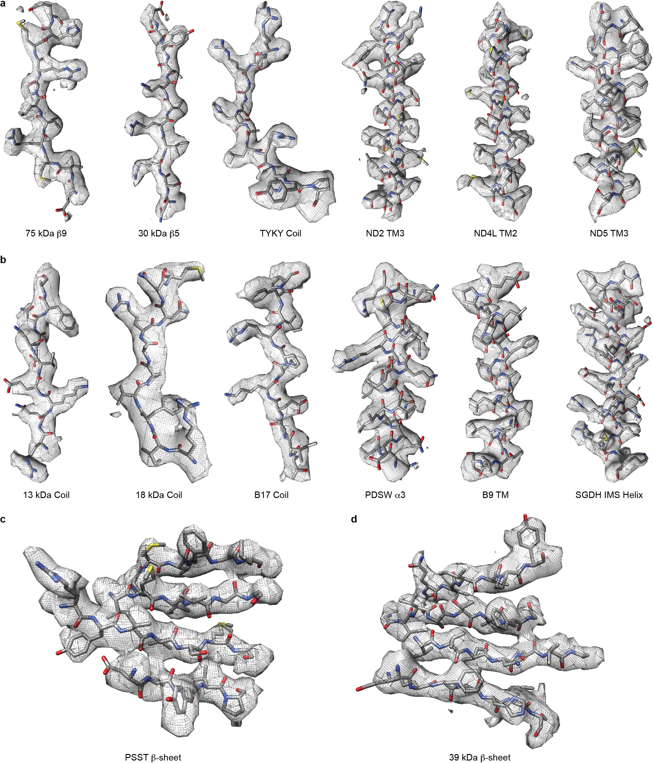 Extended Data Figure 4