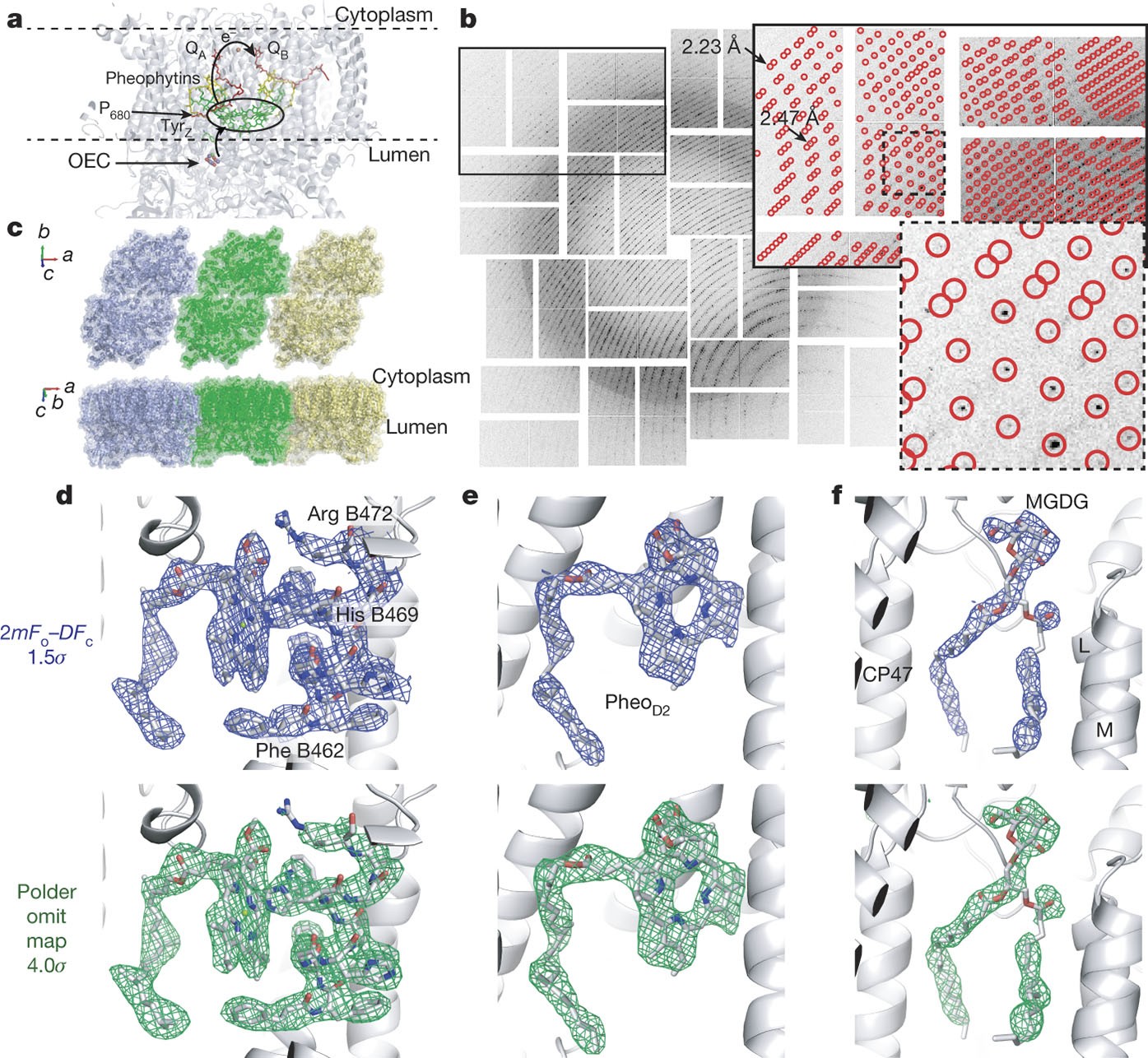 Structure Of Photosystem Ii And Substrate Binding At Room