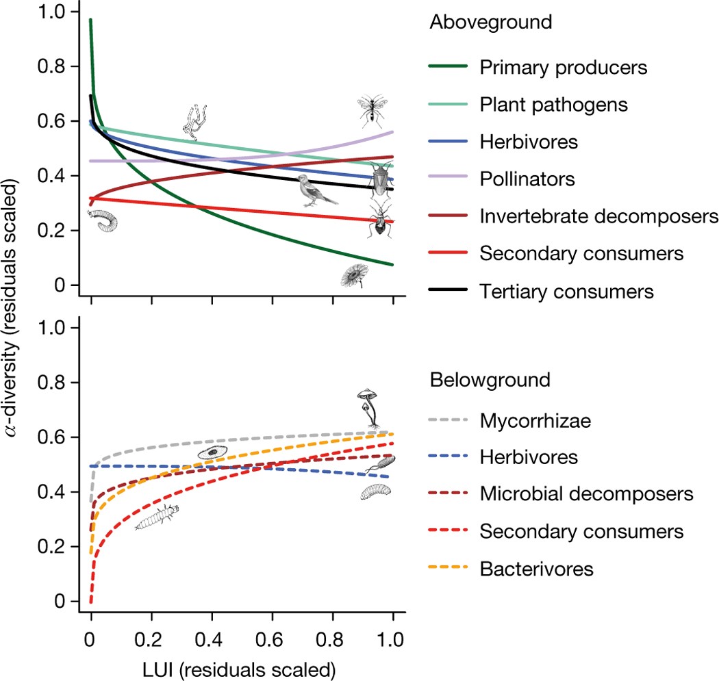 Cells Free Full Text Mitochondrial Fusion Via Opa1 And Mfn1