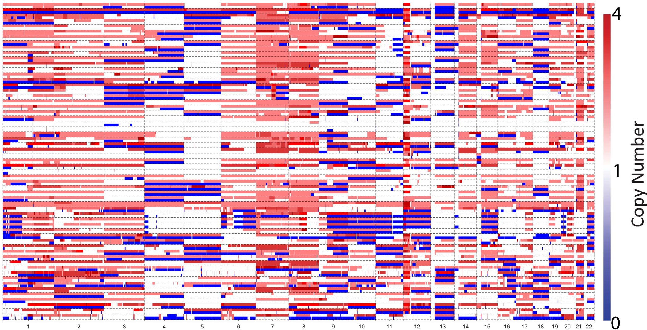 Extended Data Figure 3: Allelic copy number heat map of the discovery cohort.