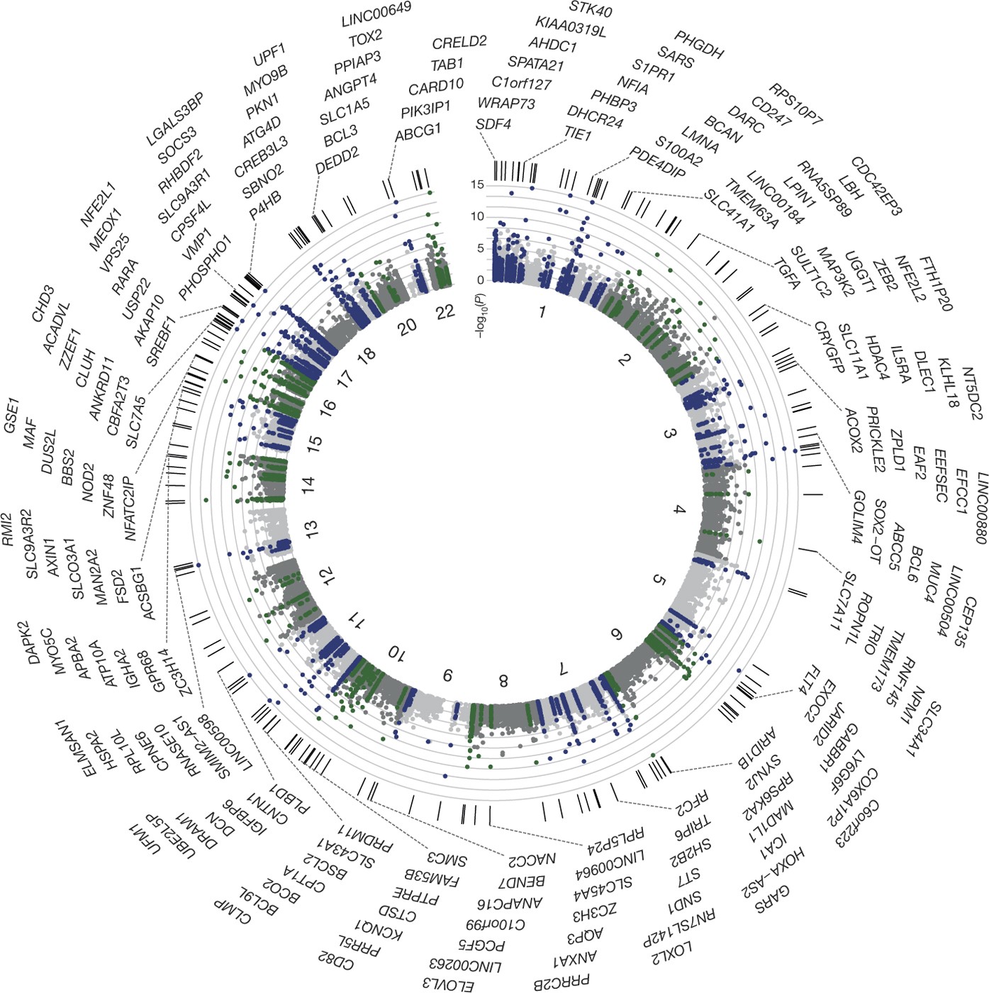 Epigenome Wide Association Study Of Body Mass Index And The Adverse Outcomes Of Adiposity Nature