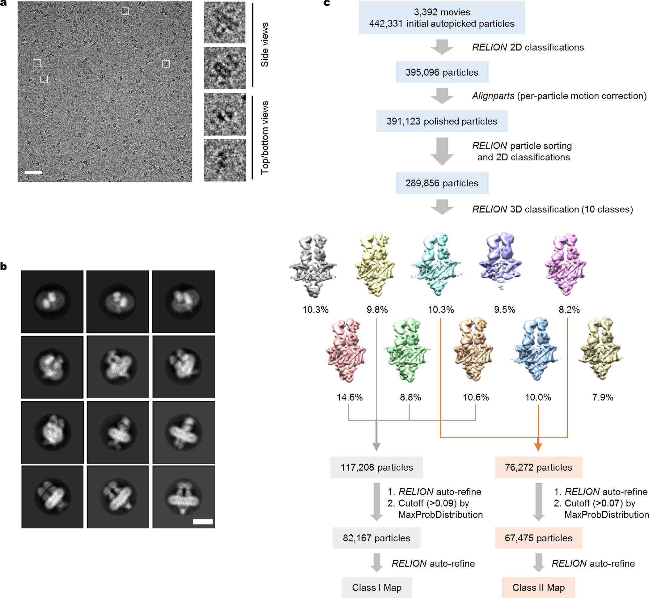 Extended Data Figure 2