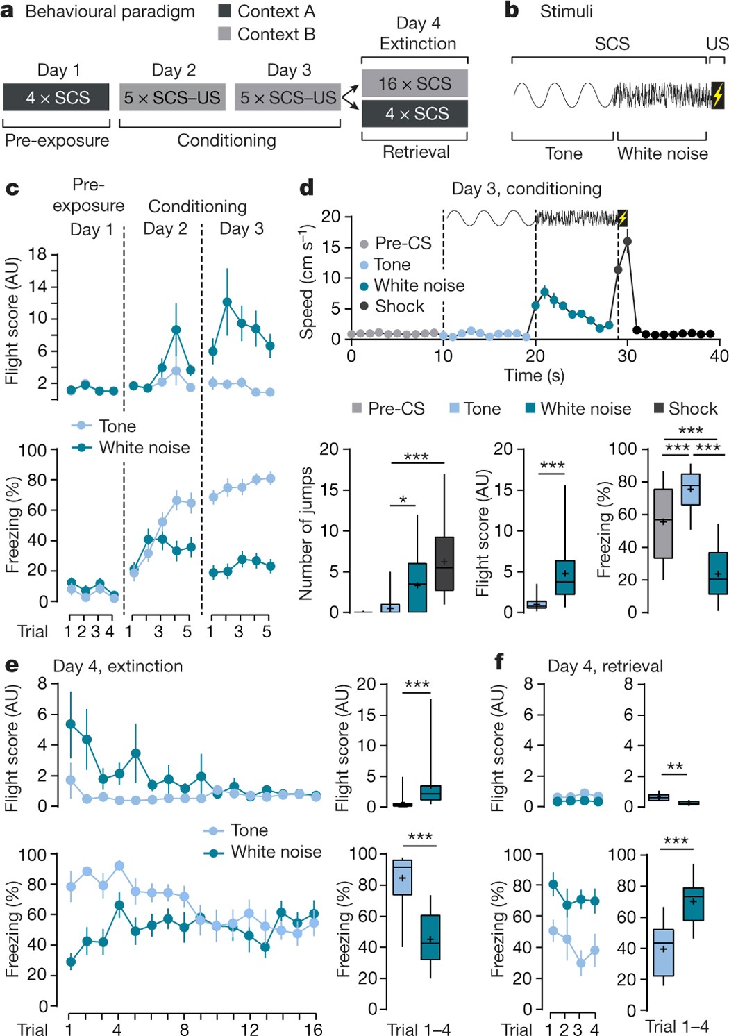 A Petitive Inhibitory Circuit For Selection Of Active And