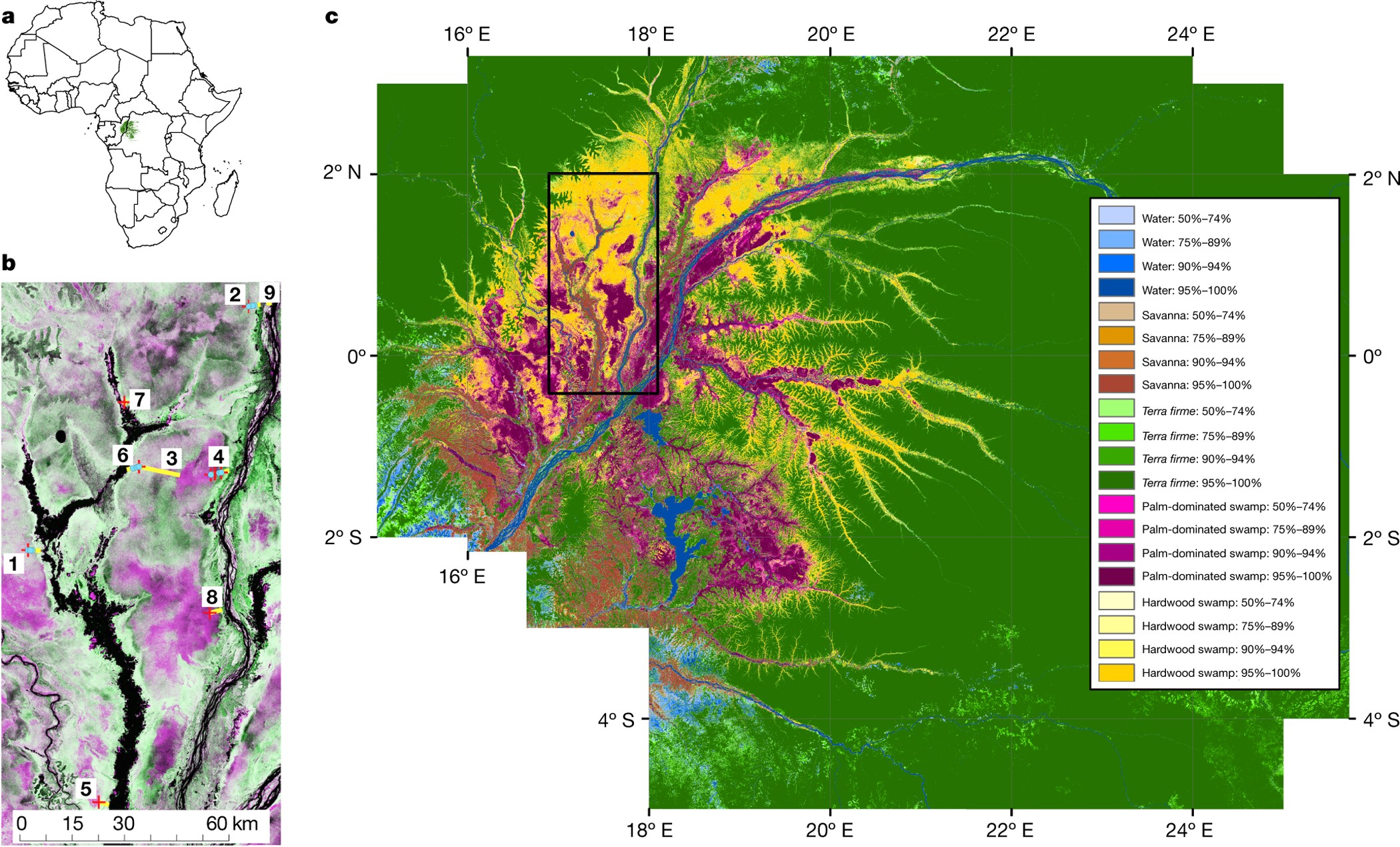 Vandre gateway Kan ikke læse eller skrive Age, extent and carbon storage of the central Congo Basin peatland complex  | Nature