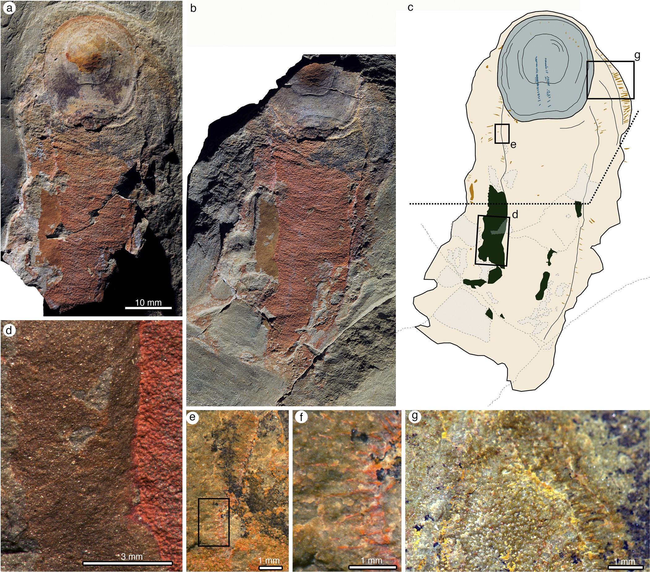 Extended Data Figure 2
