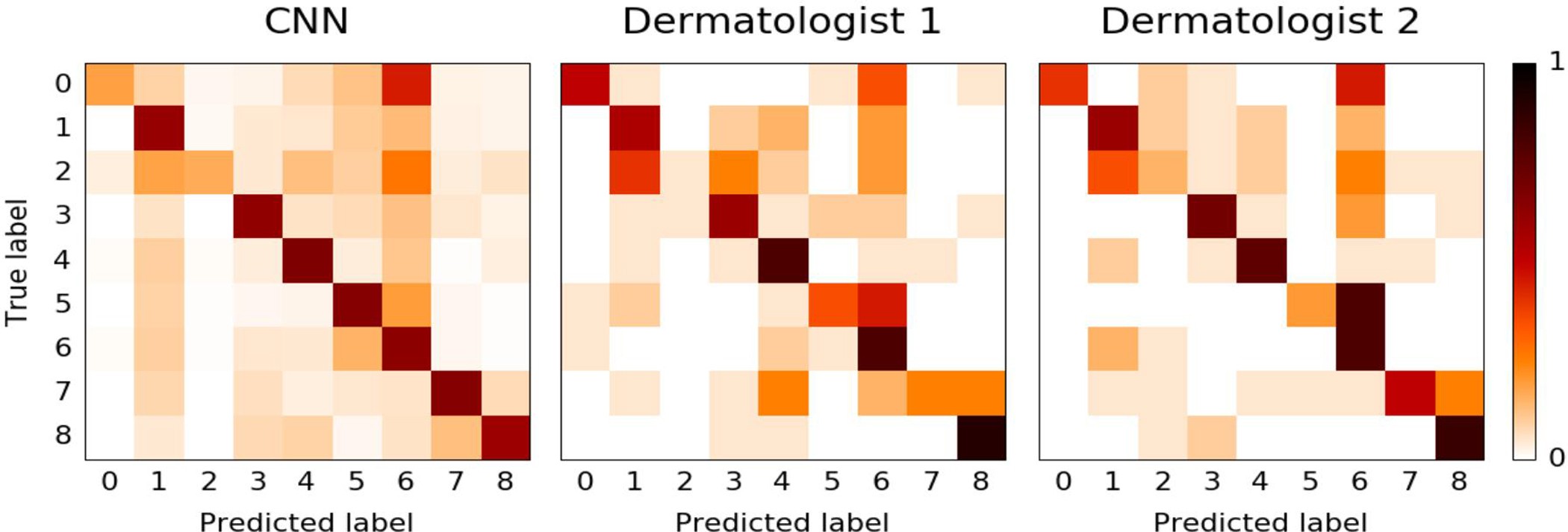 Extended Data Figure 2: Confusion matrix comparison between CNN and dermatologists.