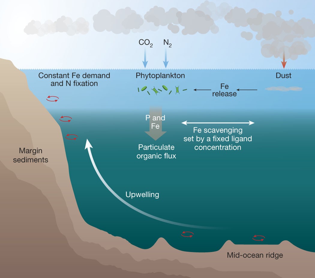 The integral role of iron in ocean biogeochemistry | Nature