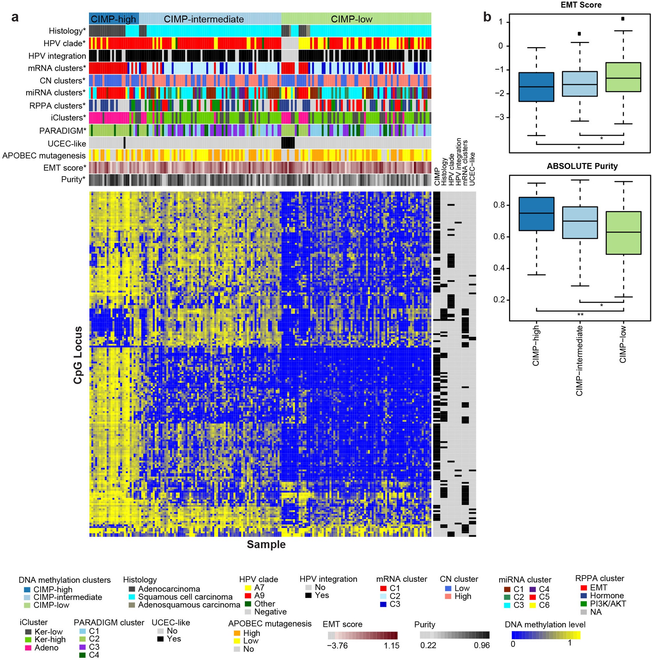 Extended Data Figure 5: Unsupervised clusters of DNA methylation data.
