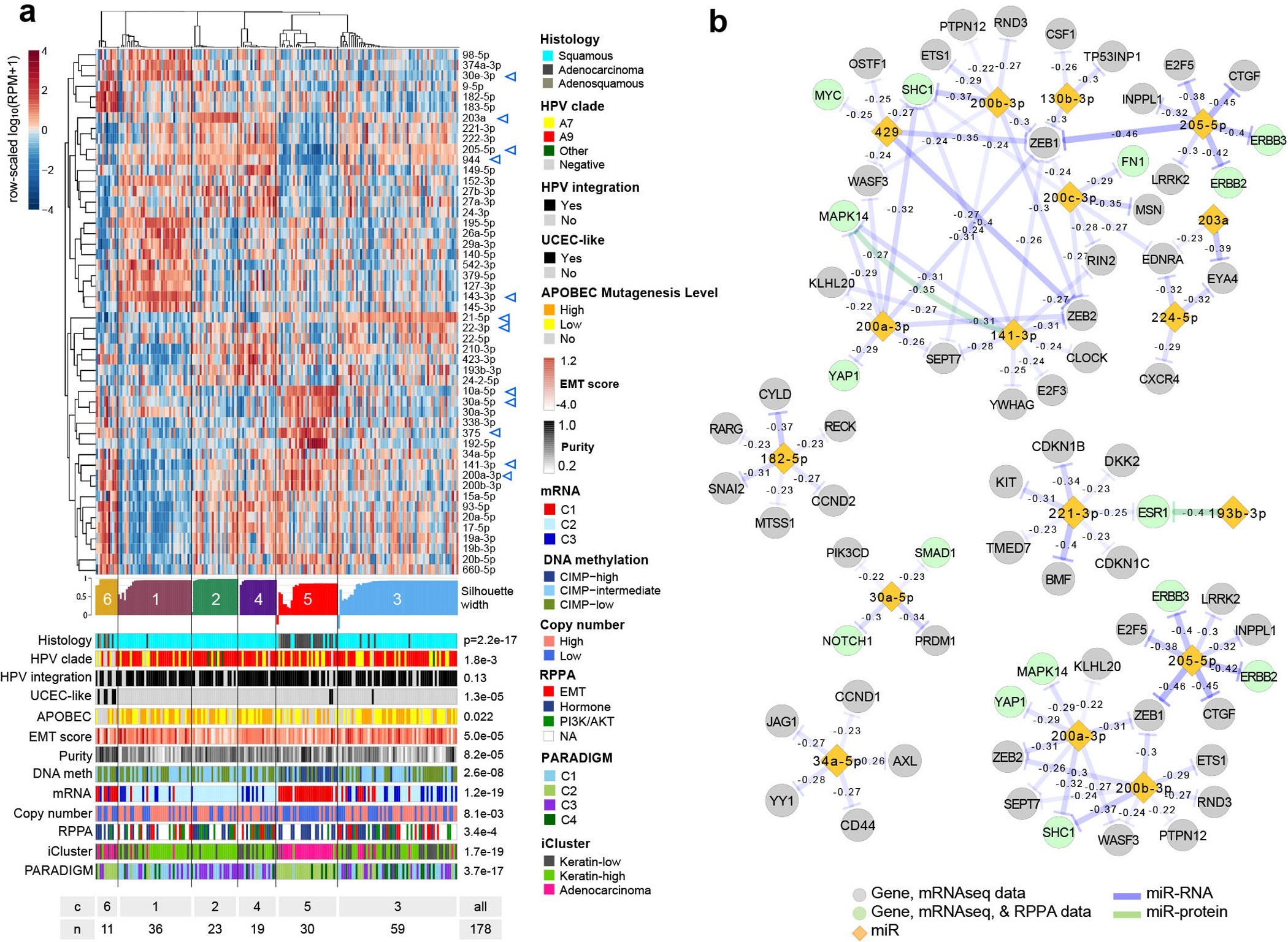 Extended Data Figure 6: miRNA clusters and miRNA-gene/protein anti-correlations in cervical cancer.