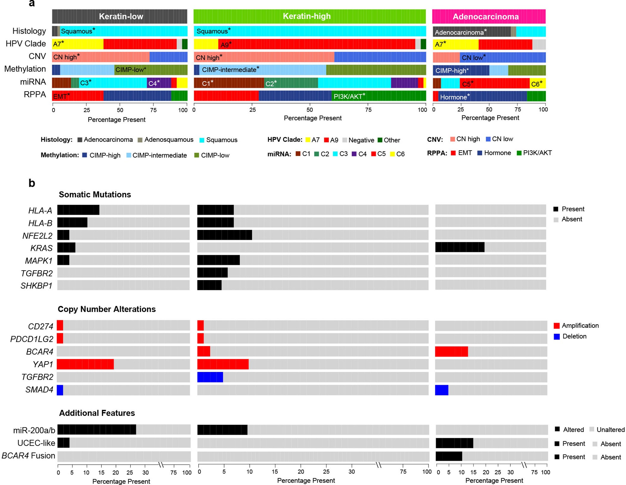 Extended Data Figure 8: Distinguishing features of cervical cancer integrated molecular subtypes.