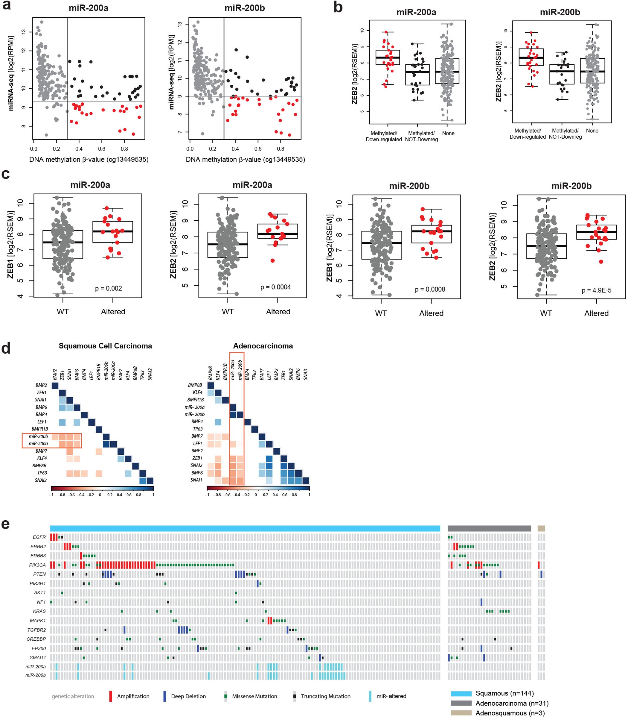 Extended Data Figure 9: miR-200a/b associations with EMT-regulating genes and somatic alterations within RTK, PI3K, MAPK and TGFβR2 pathways in cervical cancer.