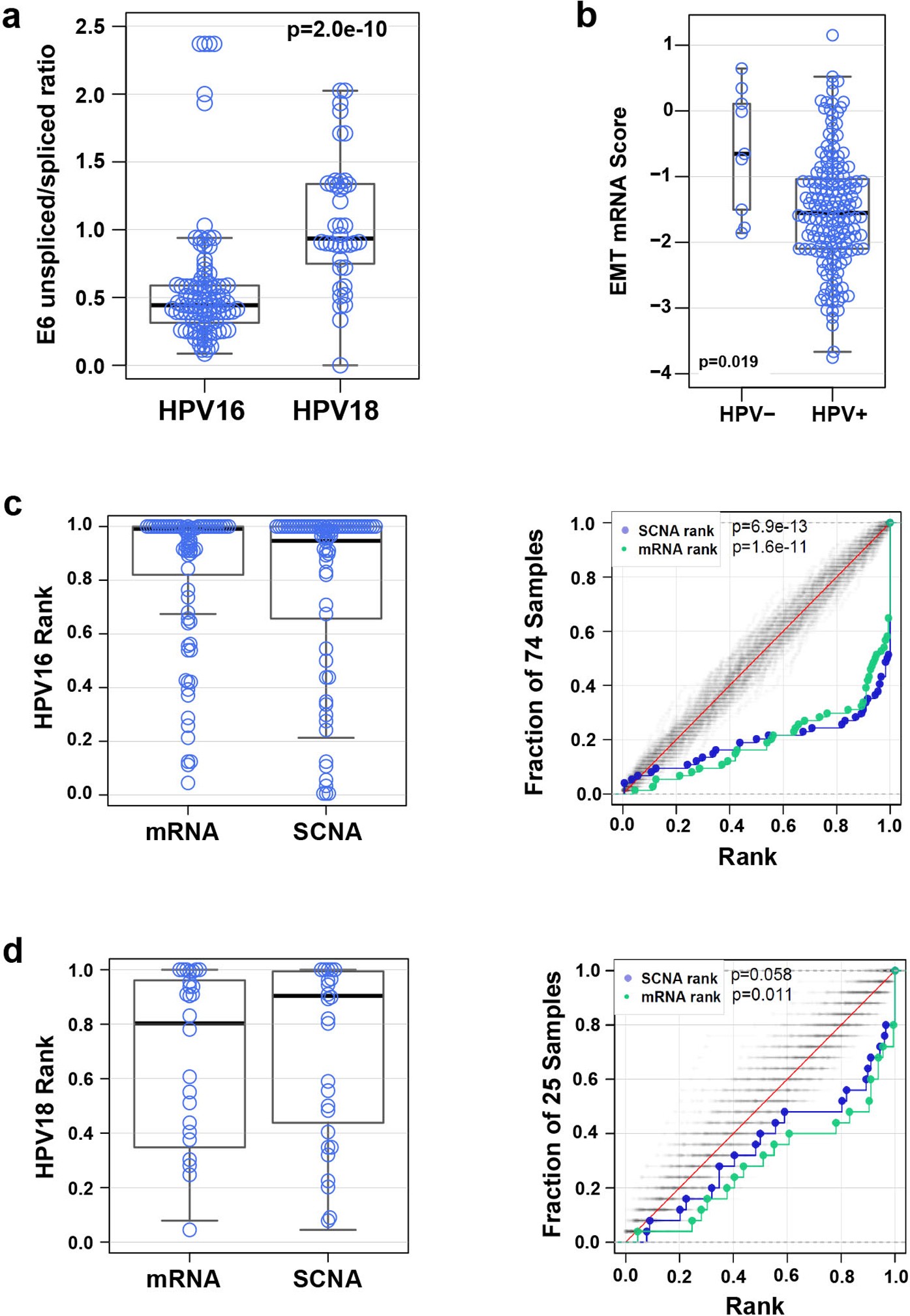 Extended Data Figure 11: HPV integration and molecular characteristics in cervical cancer.