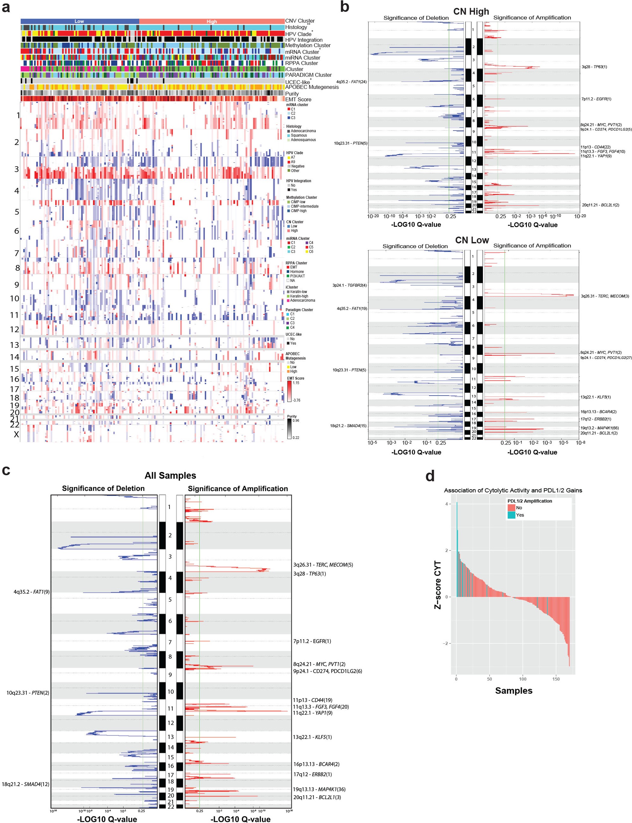 Extended Data Figure 3: Copy number alterations in cervical cancer.