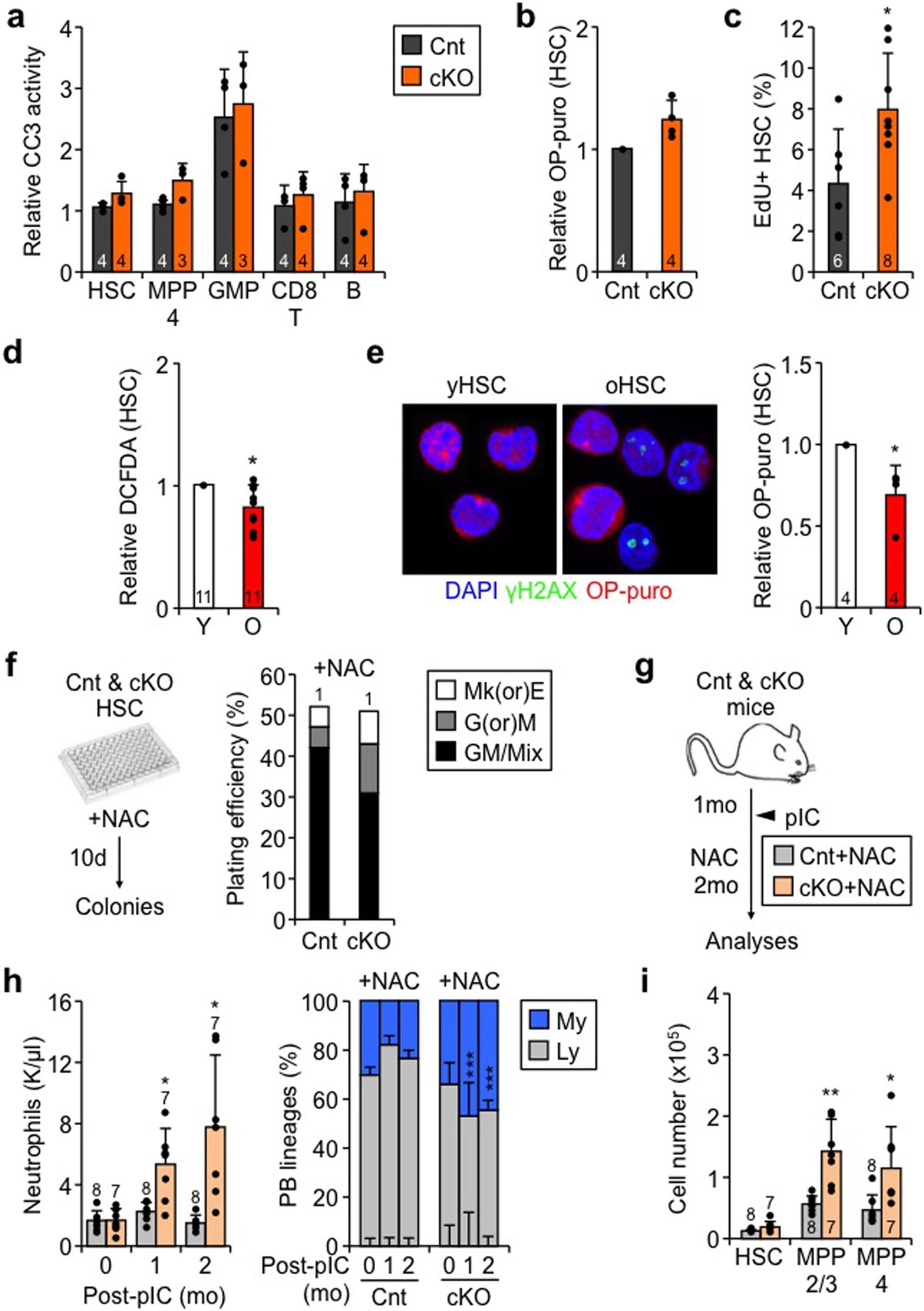 Extended Data Figure 5