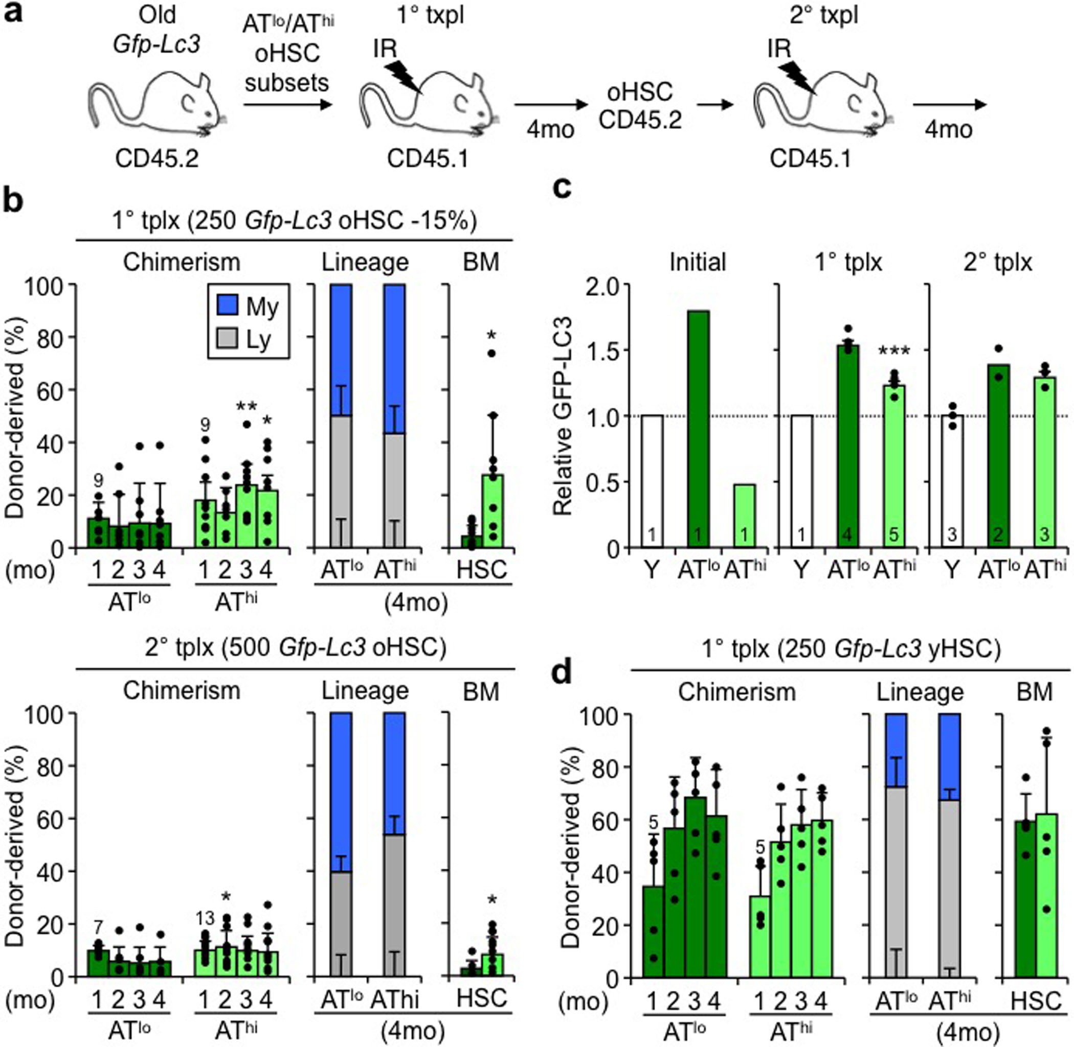 Extended Data Figure 8