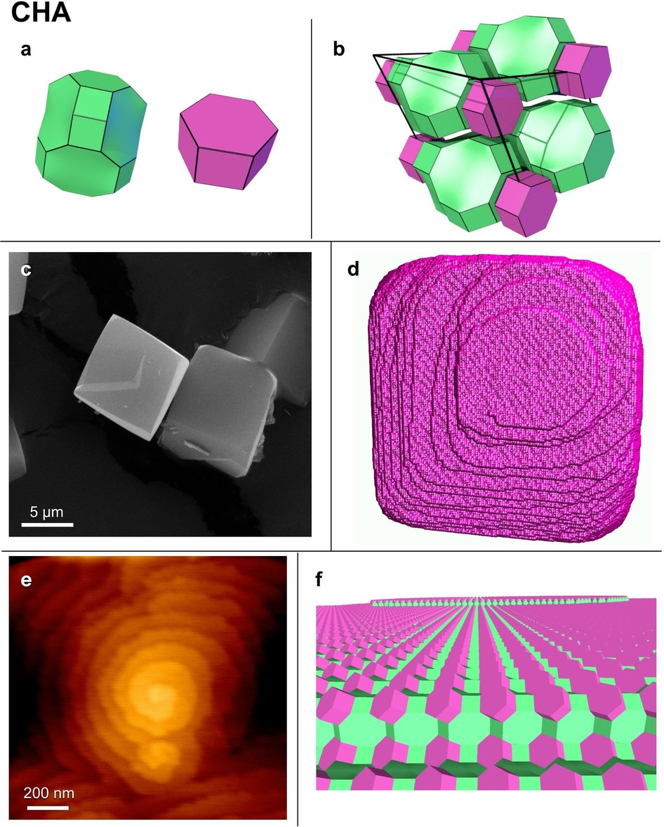Extended Data Figure 7: Experimental and simulated data for the CHA framework.