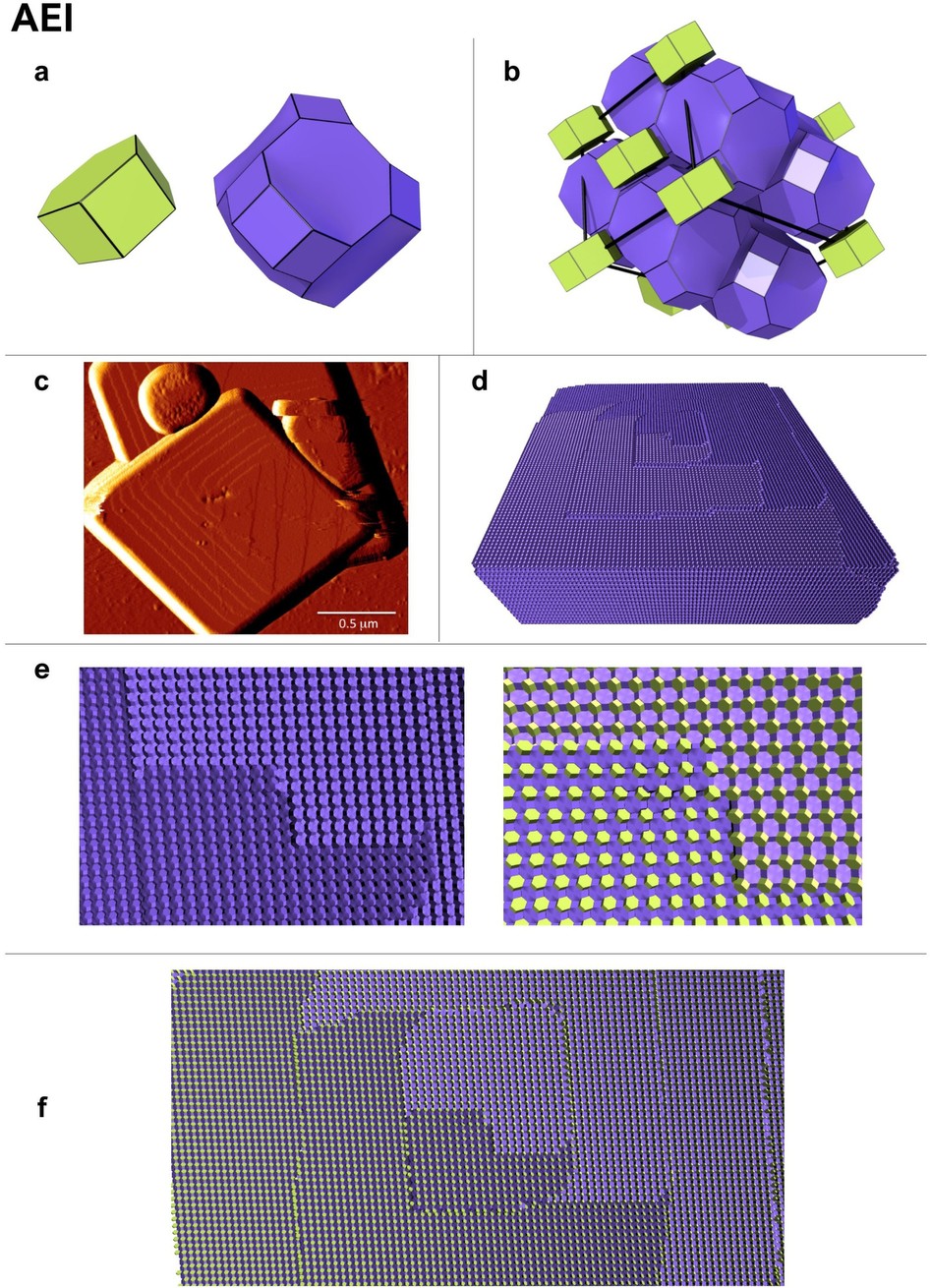 Extended Data Figure 8: Experimental and simulated data for the AEI framework.
