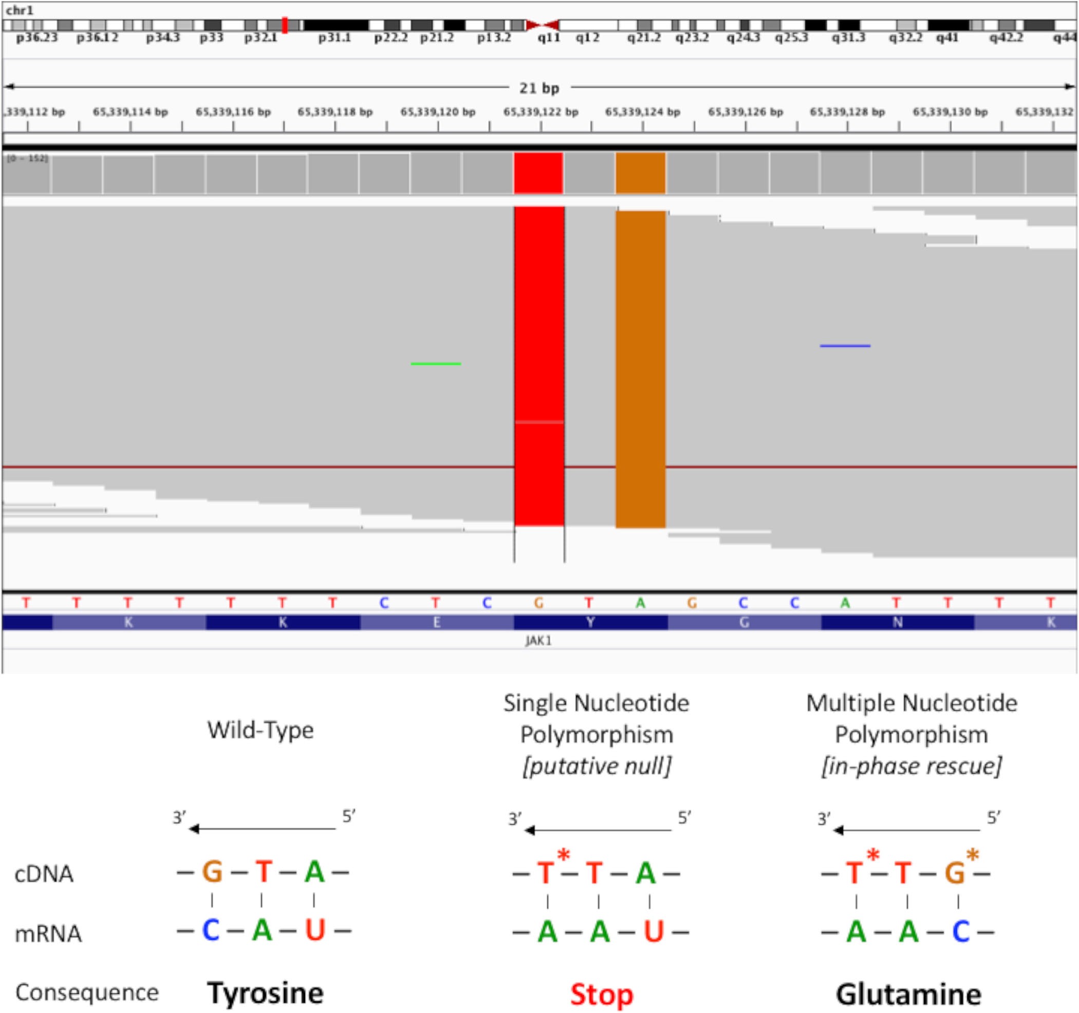 Extended Data Figure 7