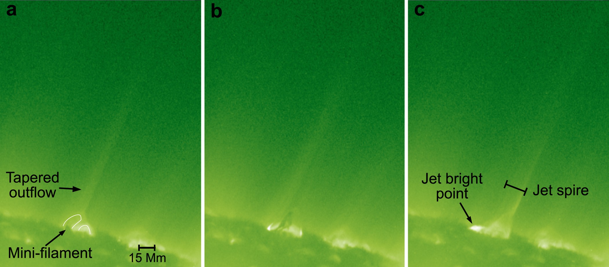 Extended Data Figure 2