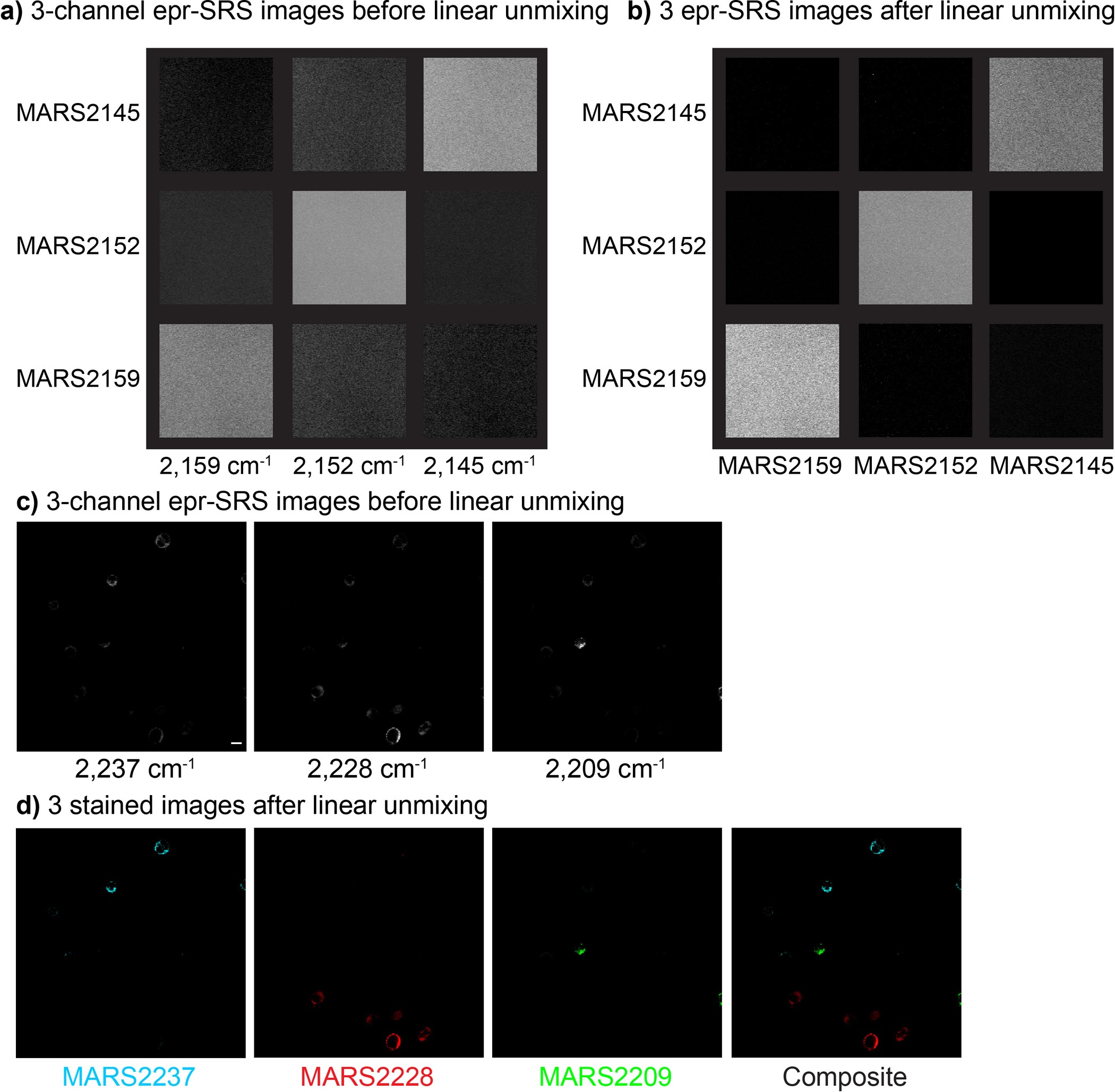 Extended Data Figure 7: Linear unmixing on MARS solutions and MARS-dye-stained cells.
