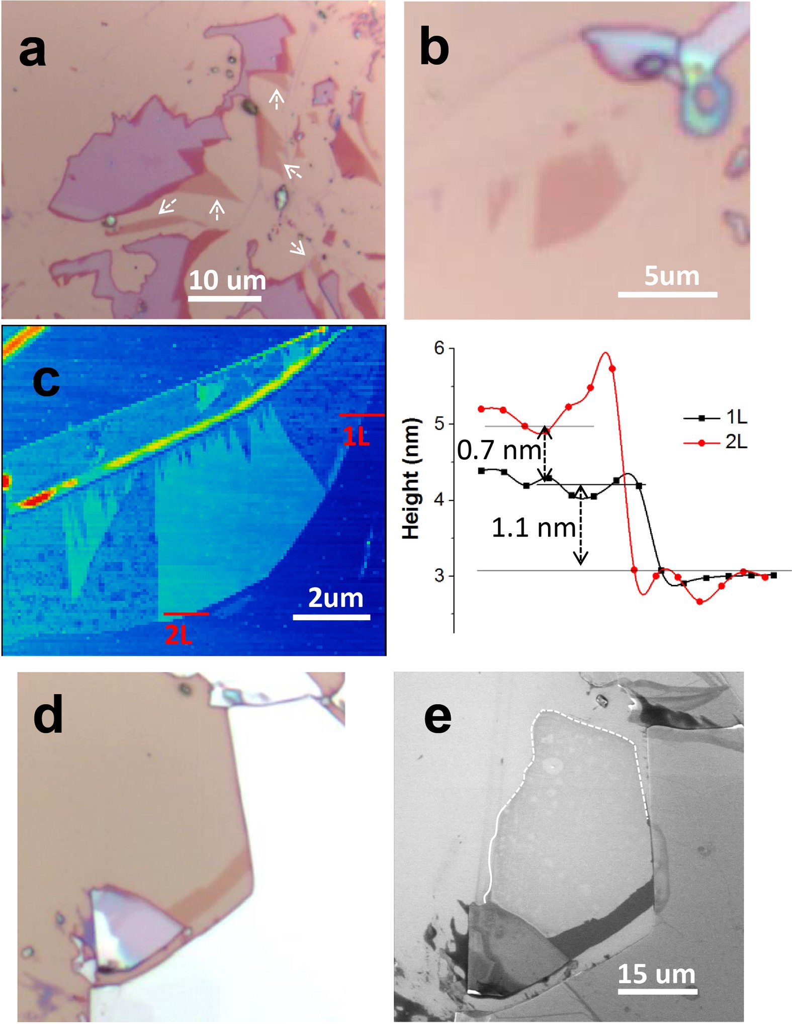 Extended Data Figure 2: Characterizations of monolayer and bilayer Cr2Ge2Te6 flakes.