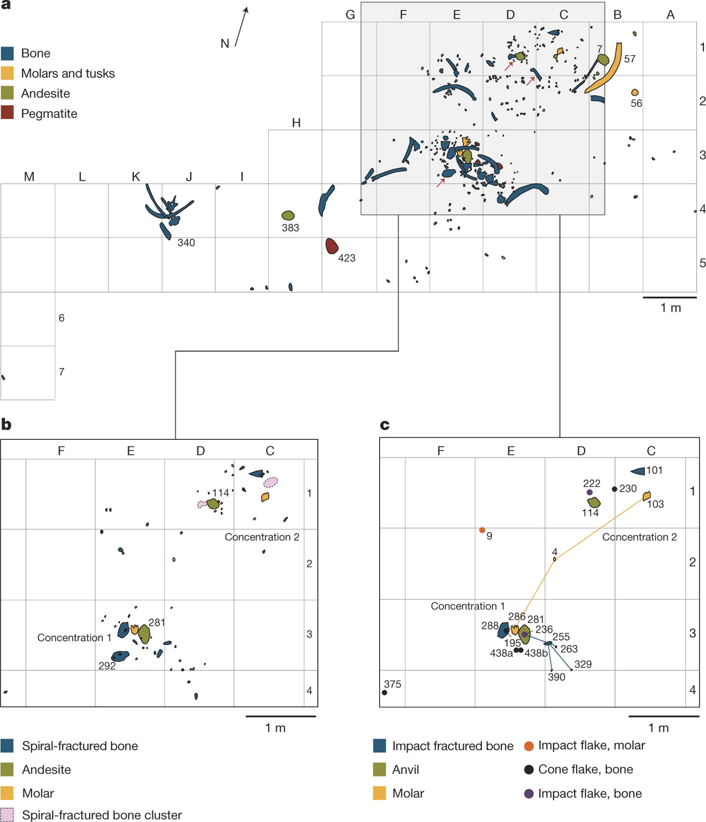 A 130,000-year-old archaeological site in southern California, USA | Nature