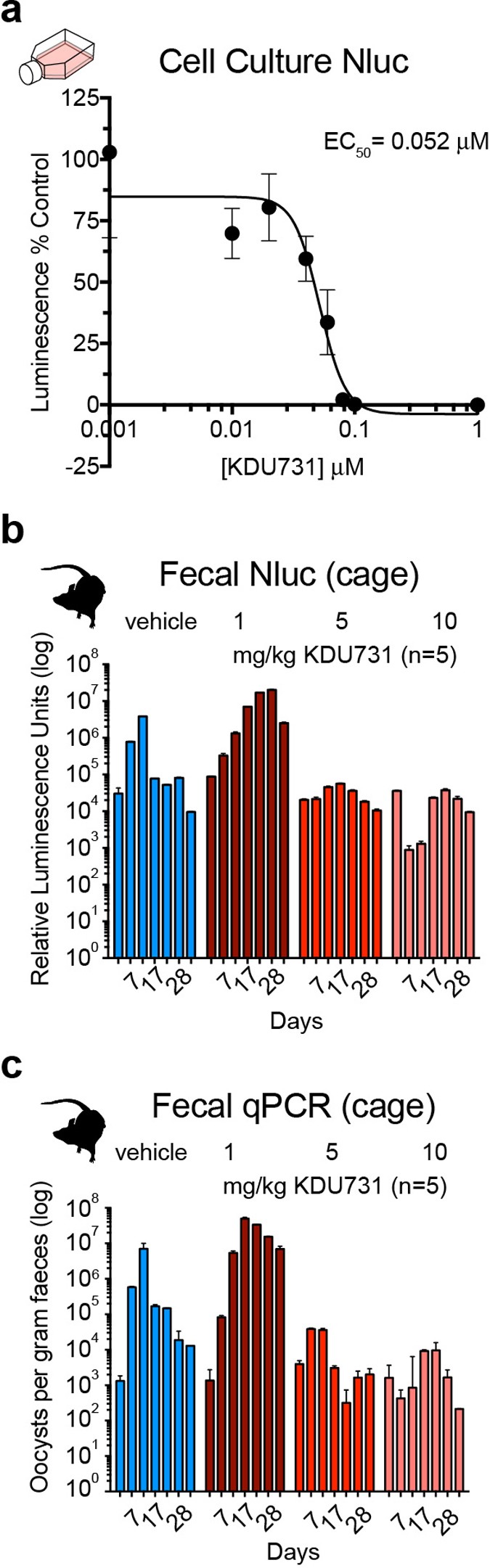 Extended Data Figure 4: KDU731 inhibits C. parvum Nluc parasites in vitro and in vivo.