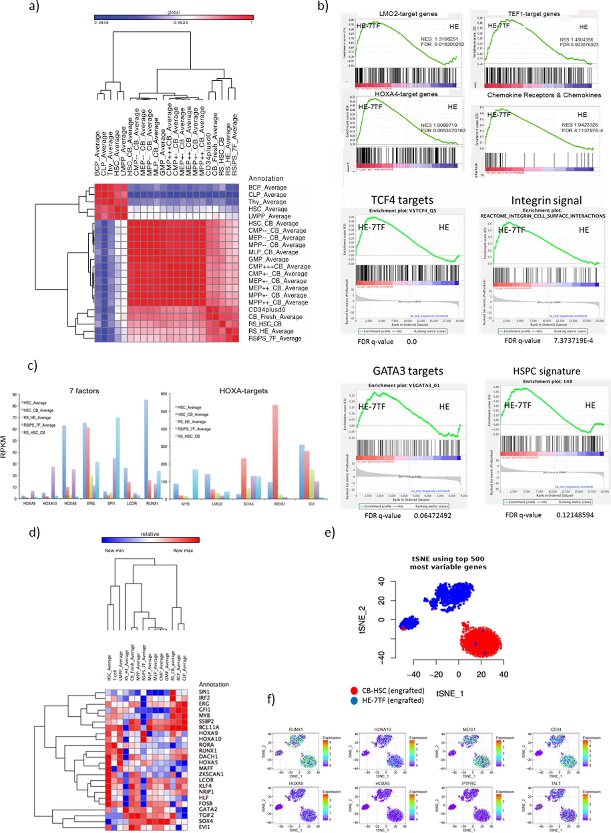 Extended Data Figure 7: Molecular features of HE-7TF cells.