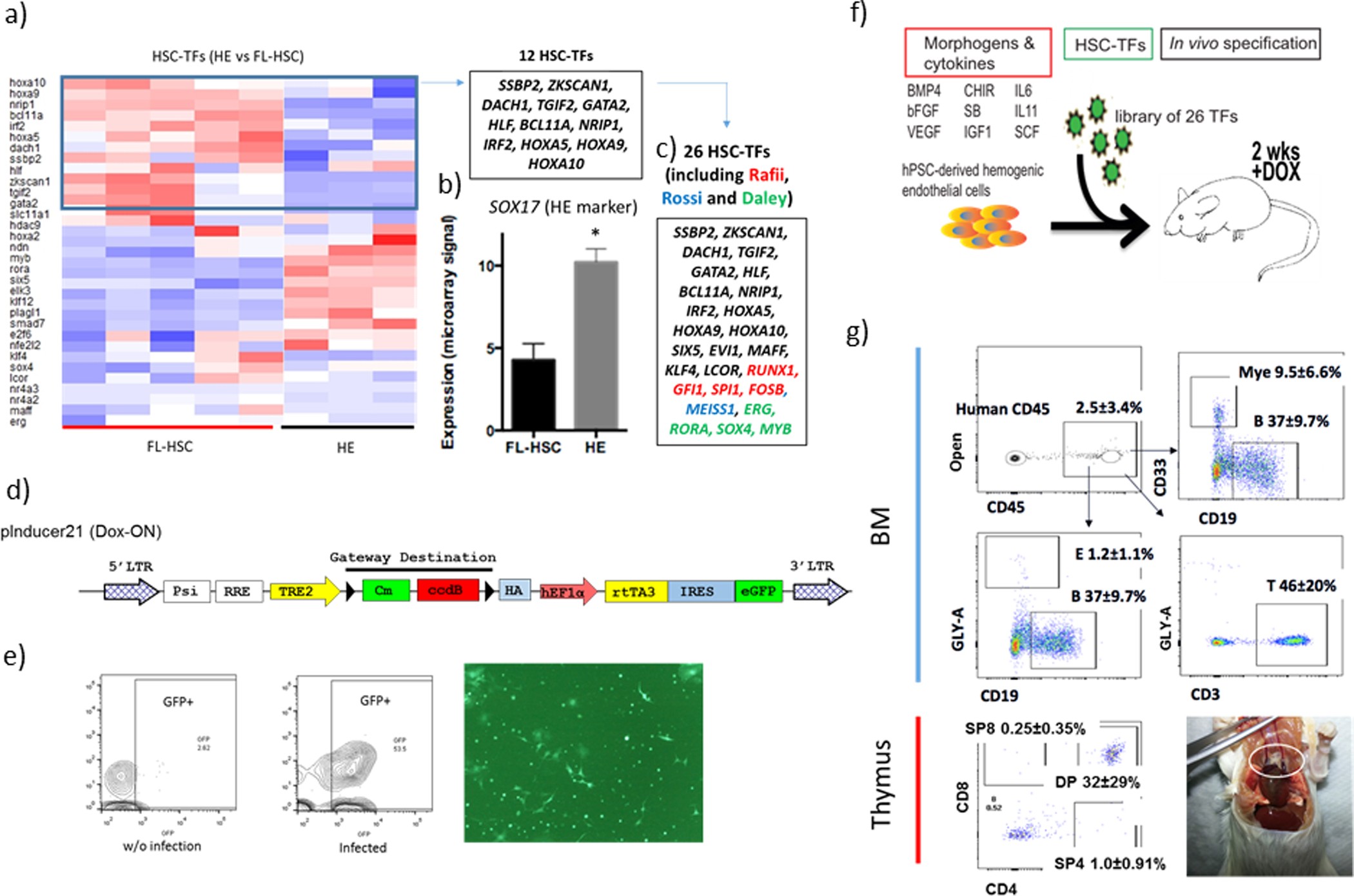 Extended Data Figure 2: Rationale for selecting candidate transcription factors for library screening.