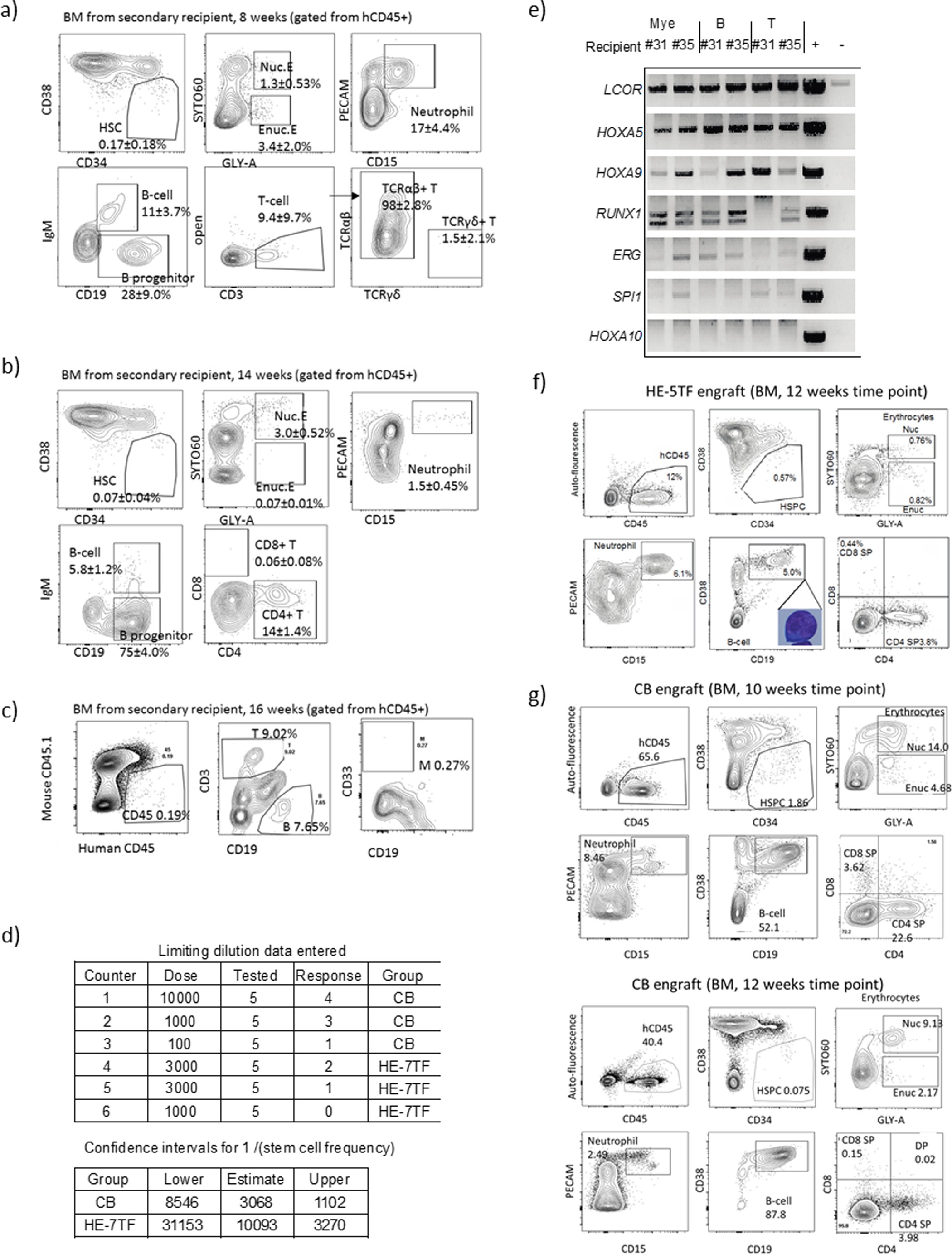 Extended Data Figure 5: FACS analysis after secondary transplantation of HE-7TF cells.