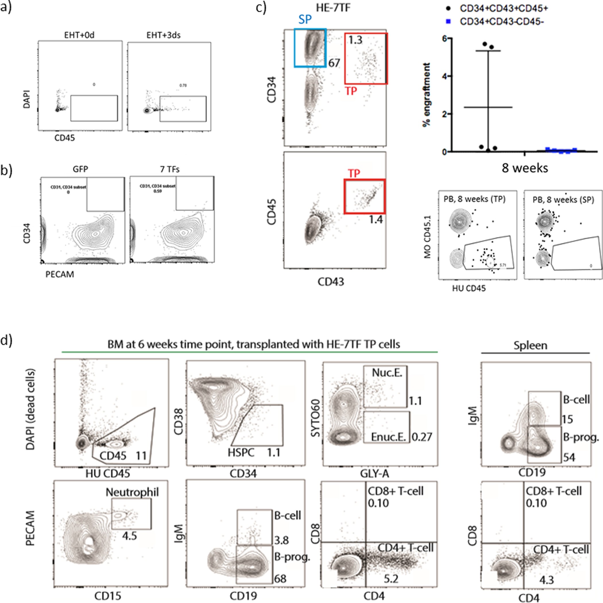 Extended Data Figure 6: Identification of the source of engraftable cells within the HE-7TF population.