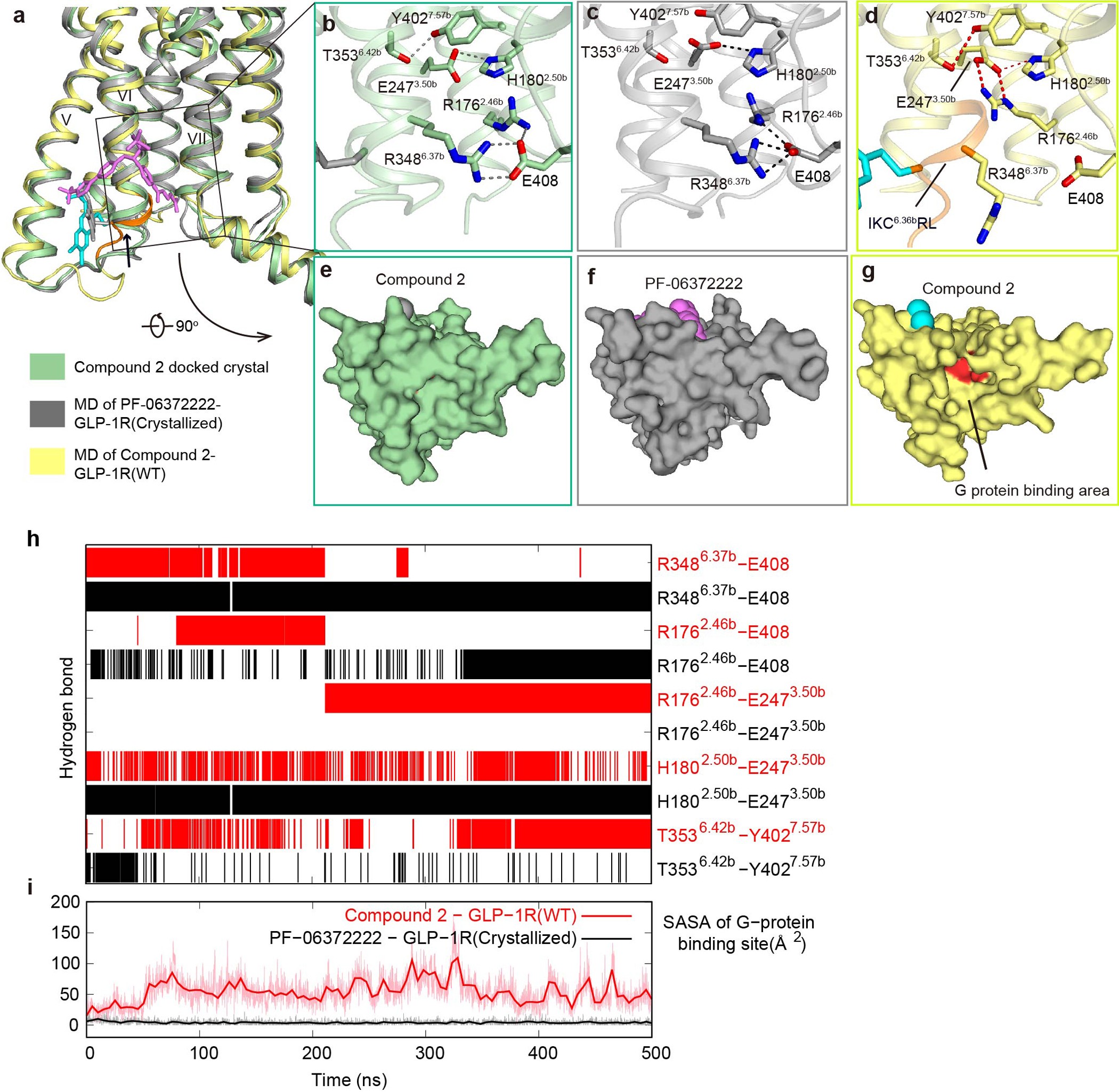 Extended Data Figure 7: Conformational changes revealed by molecular dynamics simulation.