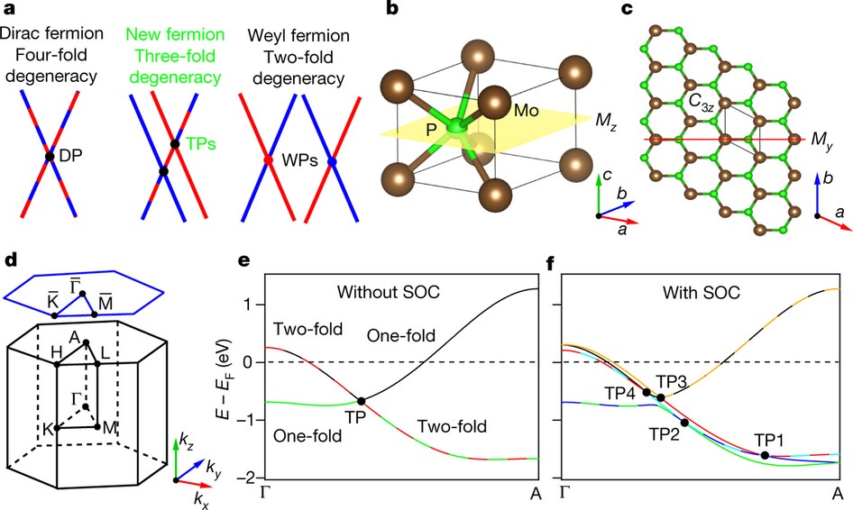 Observation of three-component fermions in the topological semimetal molybdenum phosphide Nature