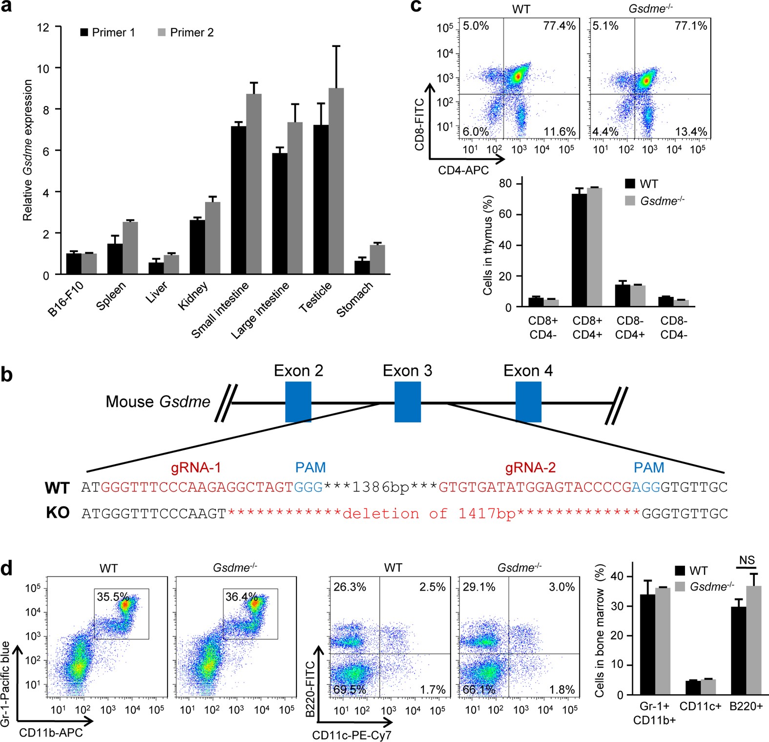 Extended Data Figure 9: Generation and immune development of Gsdme−/− mice.