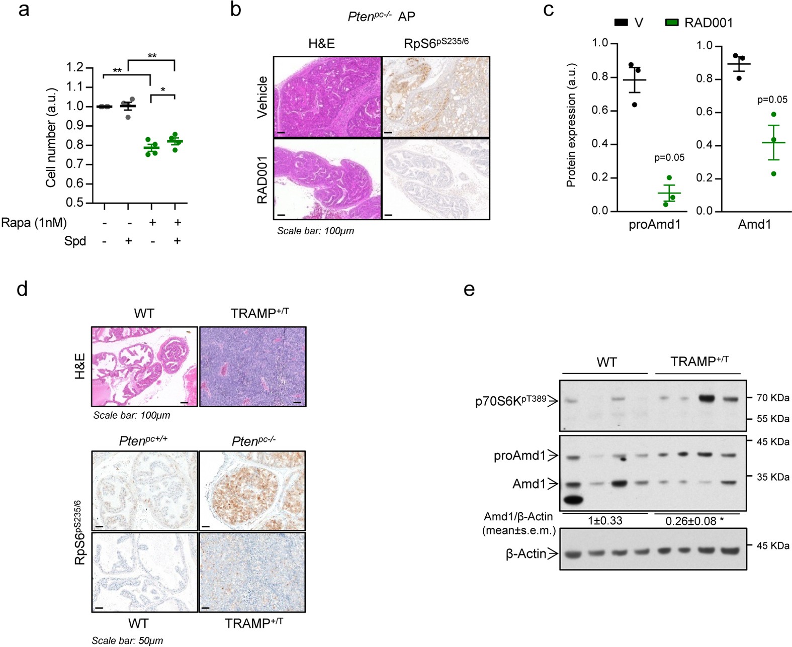 Extended Data Figure 6