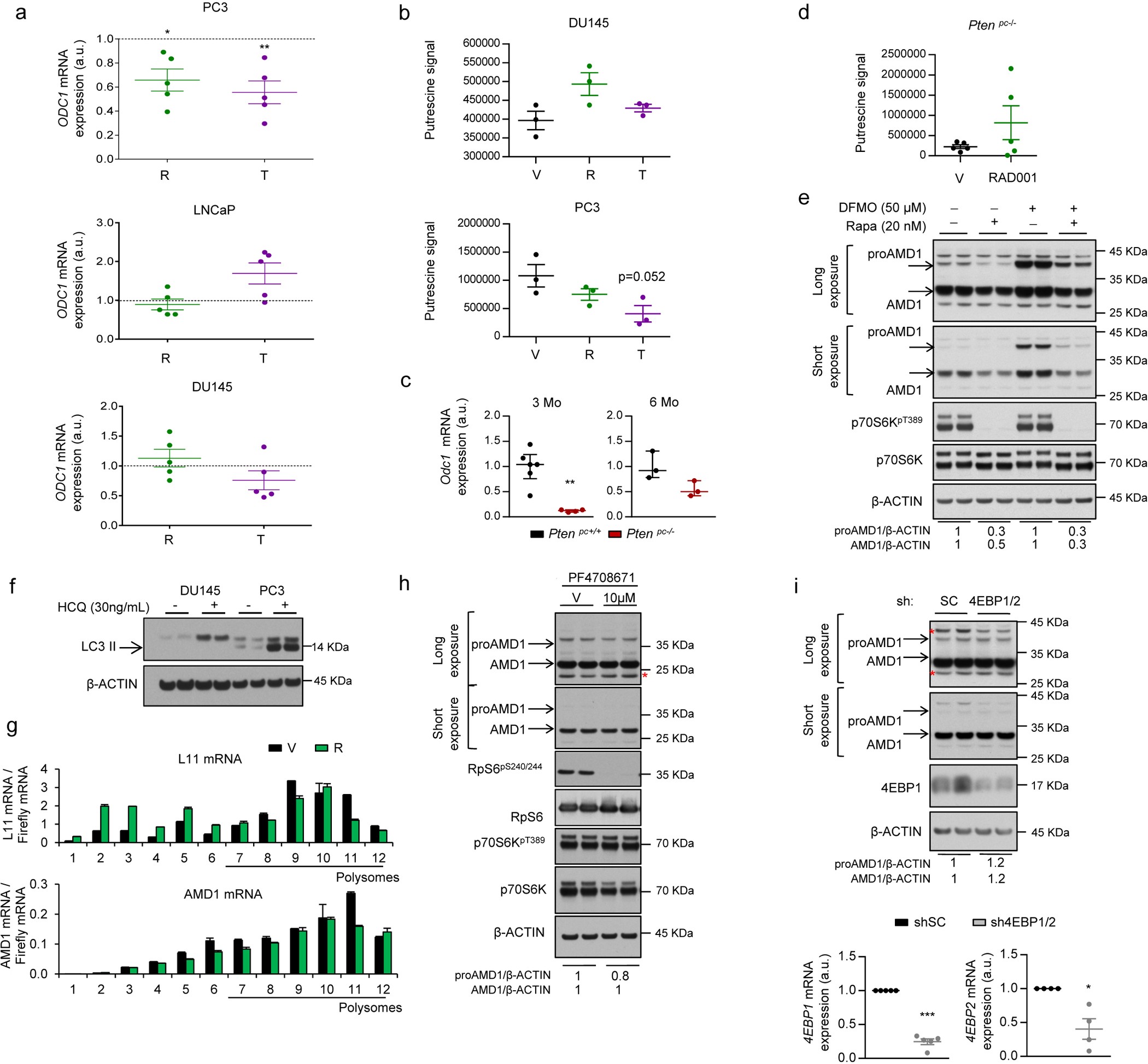 Extended Data Figure 7