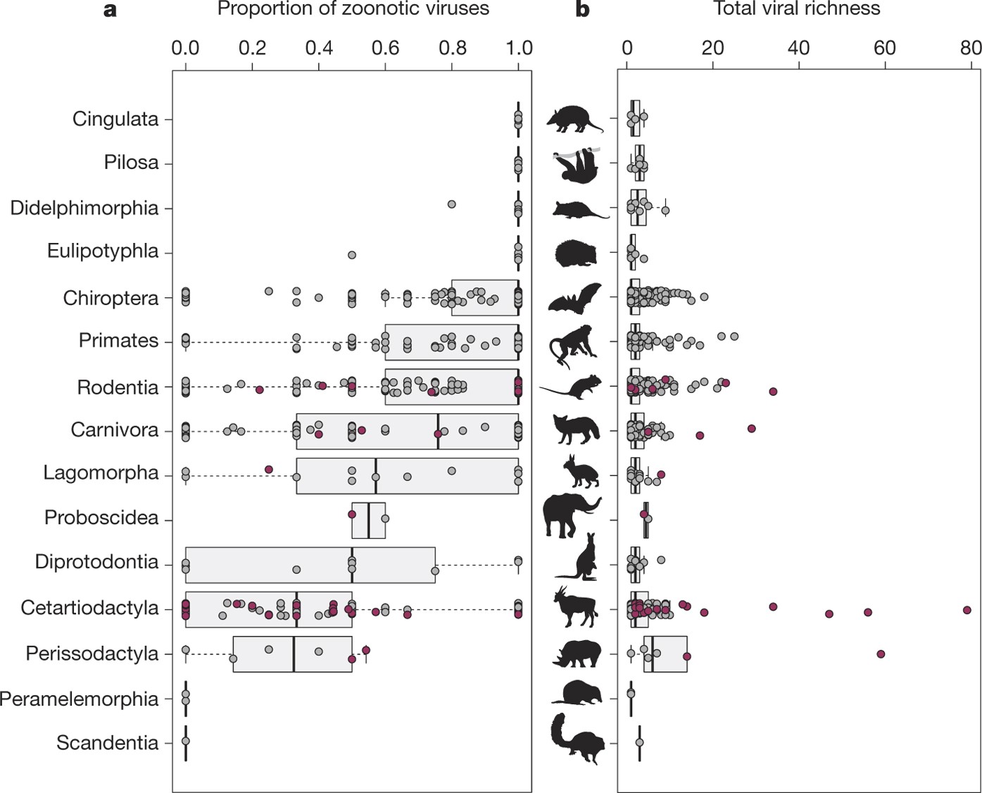 Host and viral traits predict zoonotic spillover from mammals | Nature